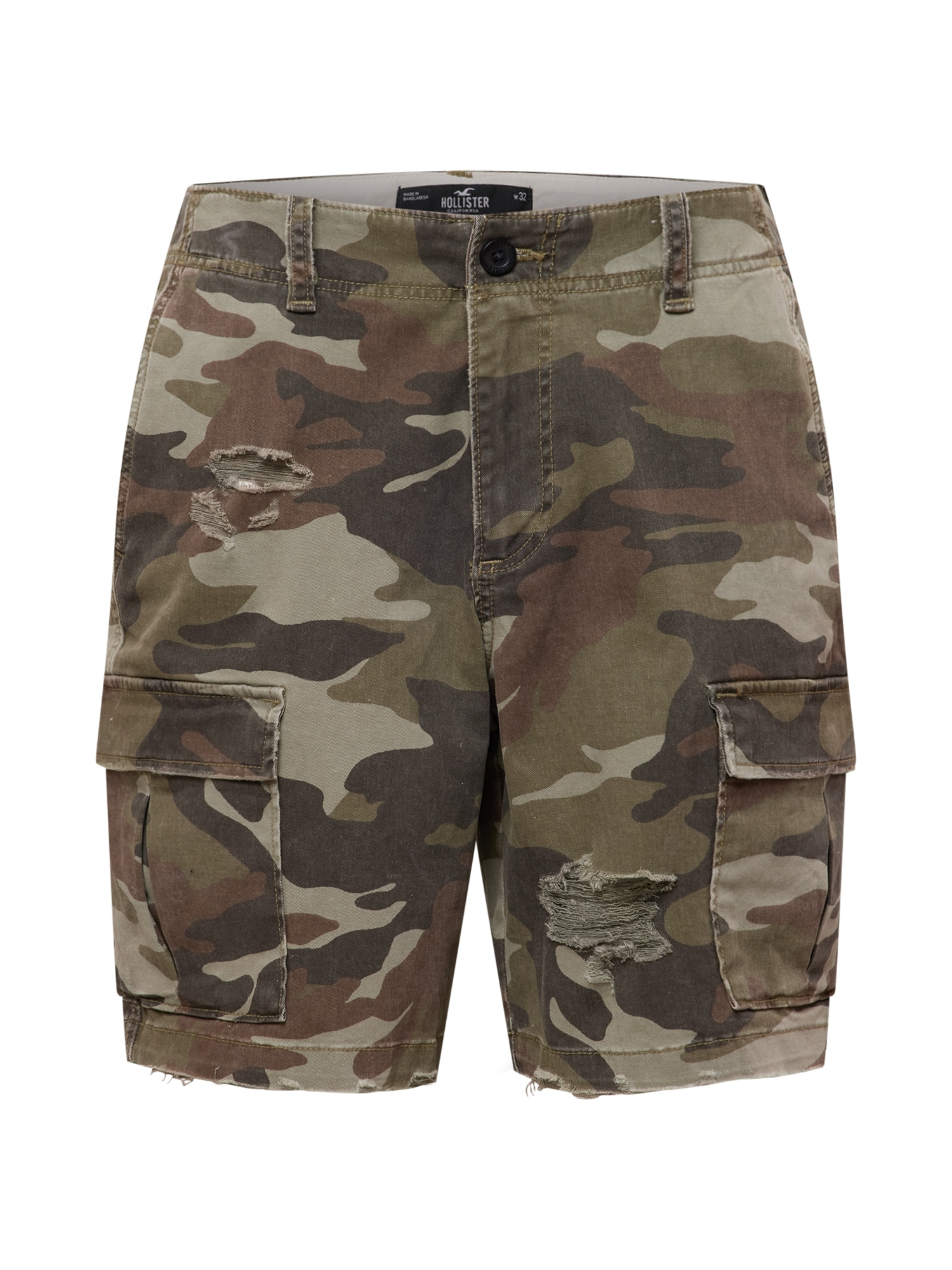HOLLISTER Kargo hlače  rjava / kaki / pastelno zelena / temno zelena