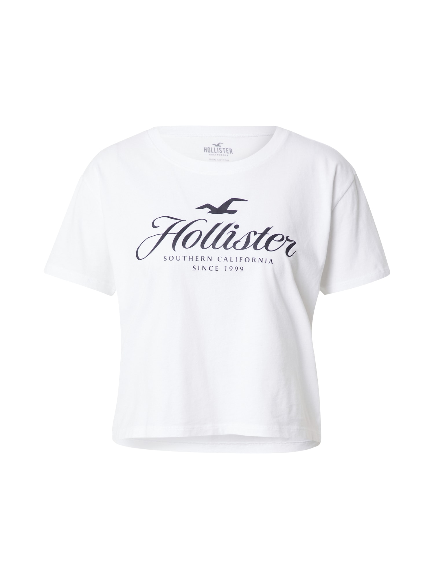 HOLLISTER Majica  črna / bela