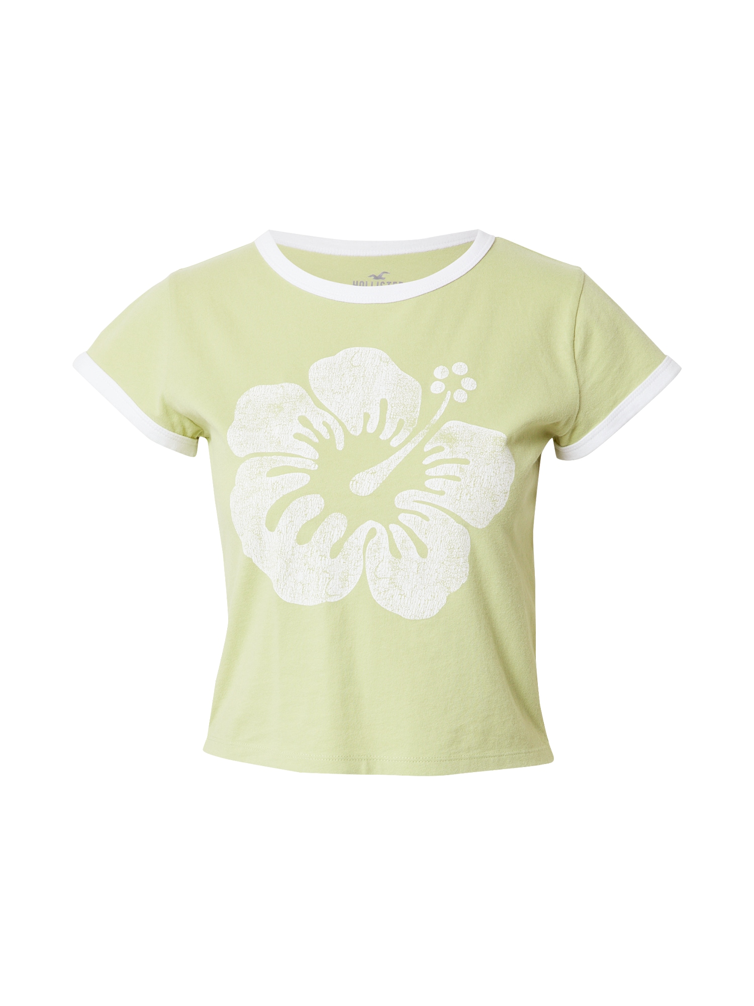 HOLLISTER Majica  pastelno zelena / bela