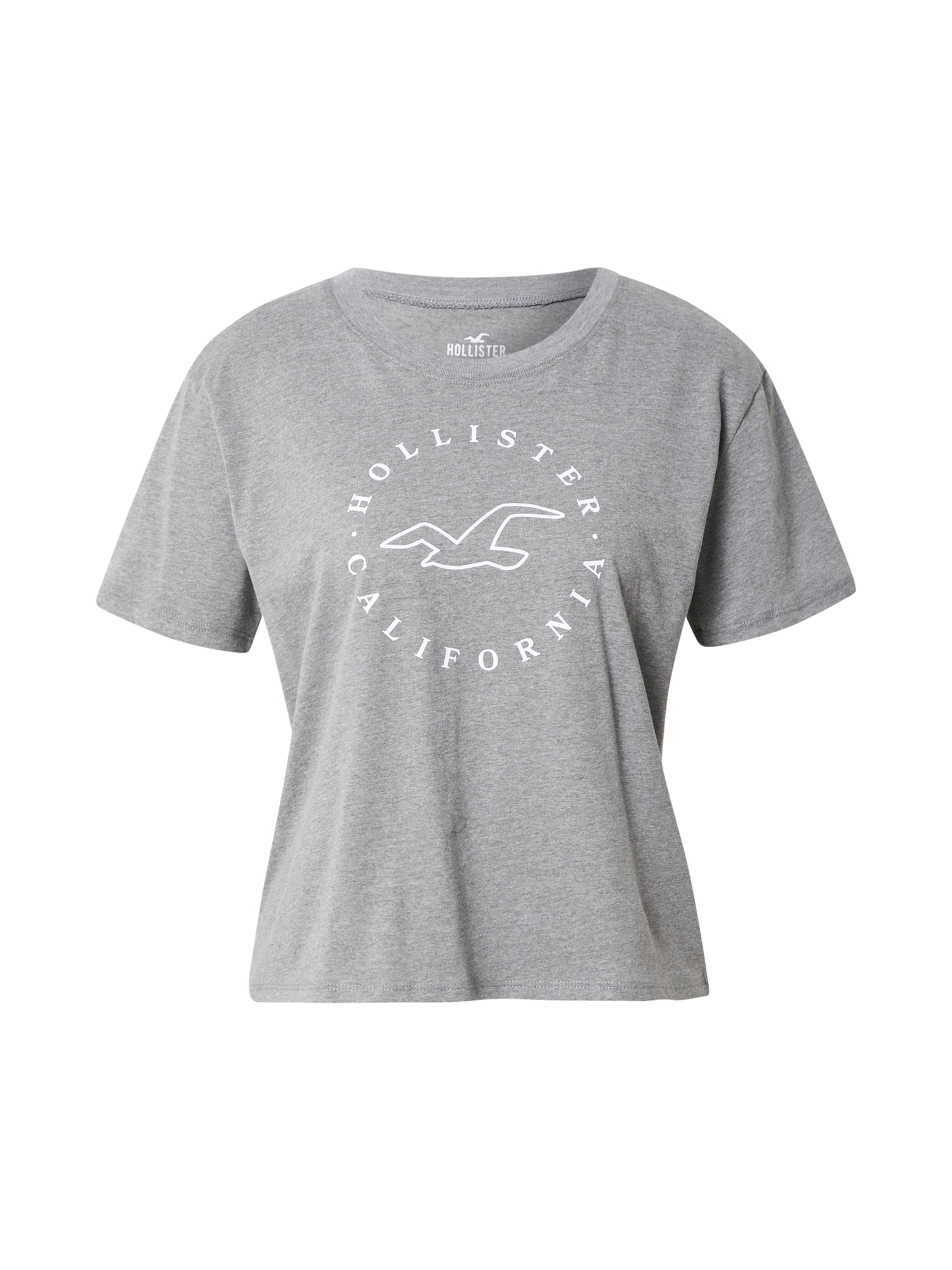 HOLLISTER Majica  pegasto siva / bela