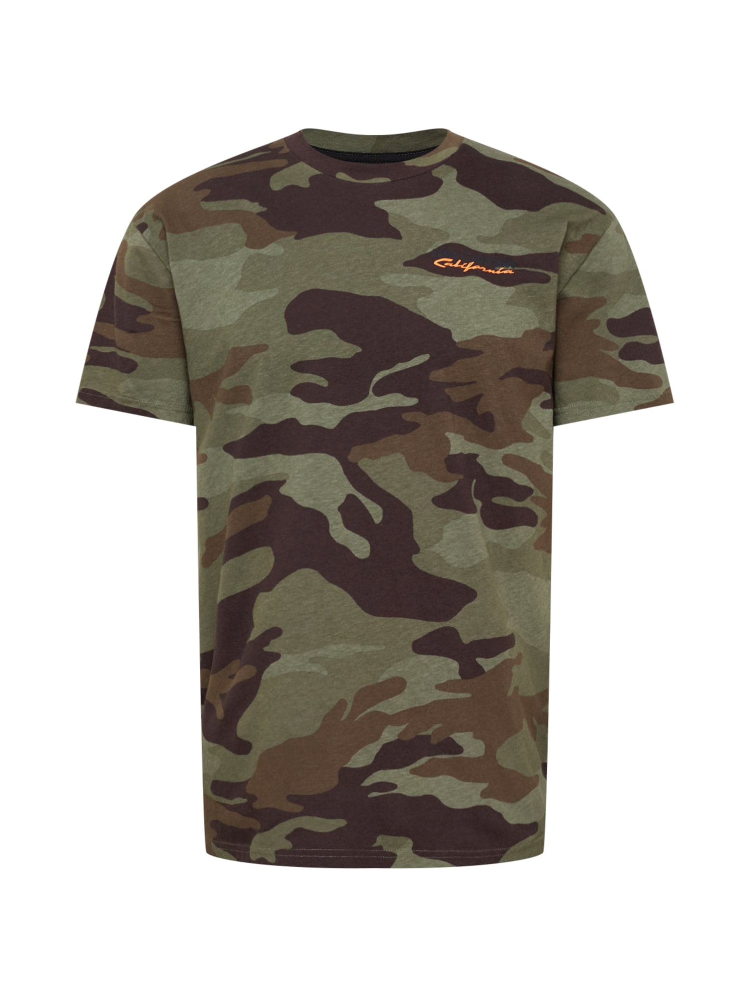 HOLLISTER Majica  rjava / zelena / svetlo zelena / črna