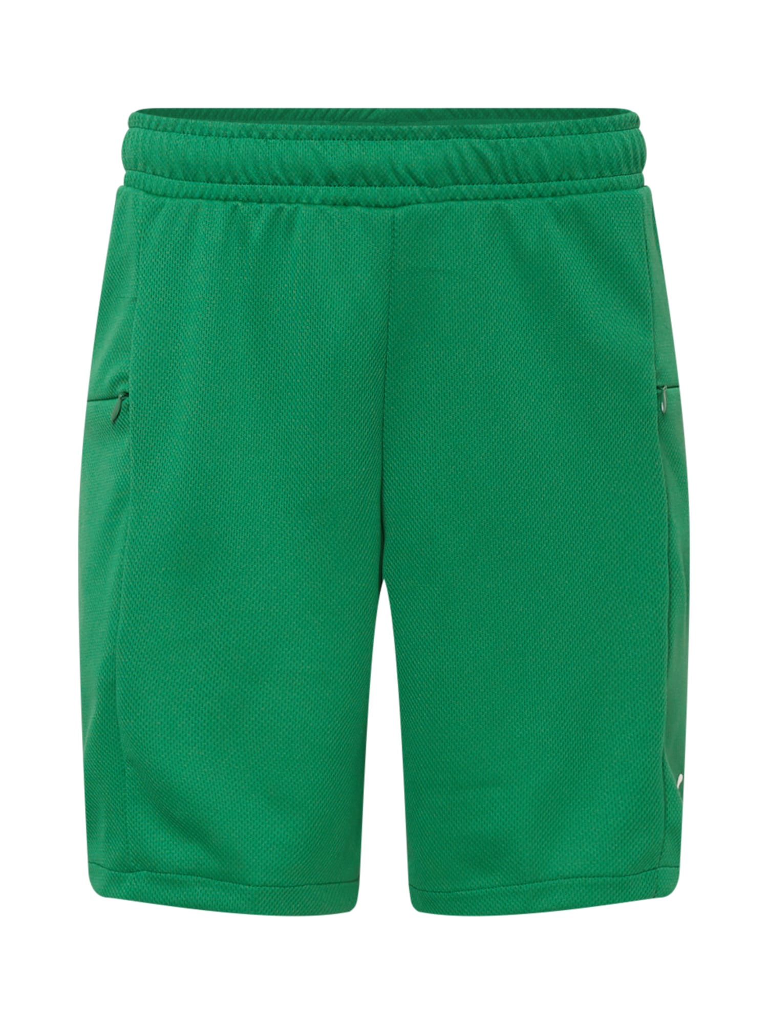 PUMA Športne hlače  zelena / bela
