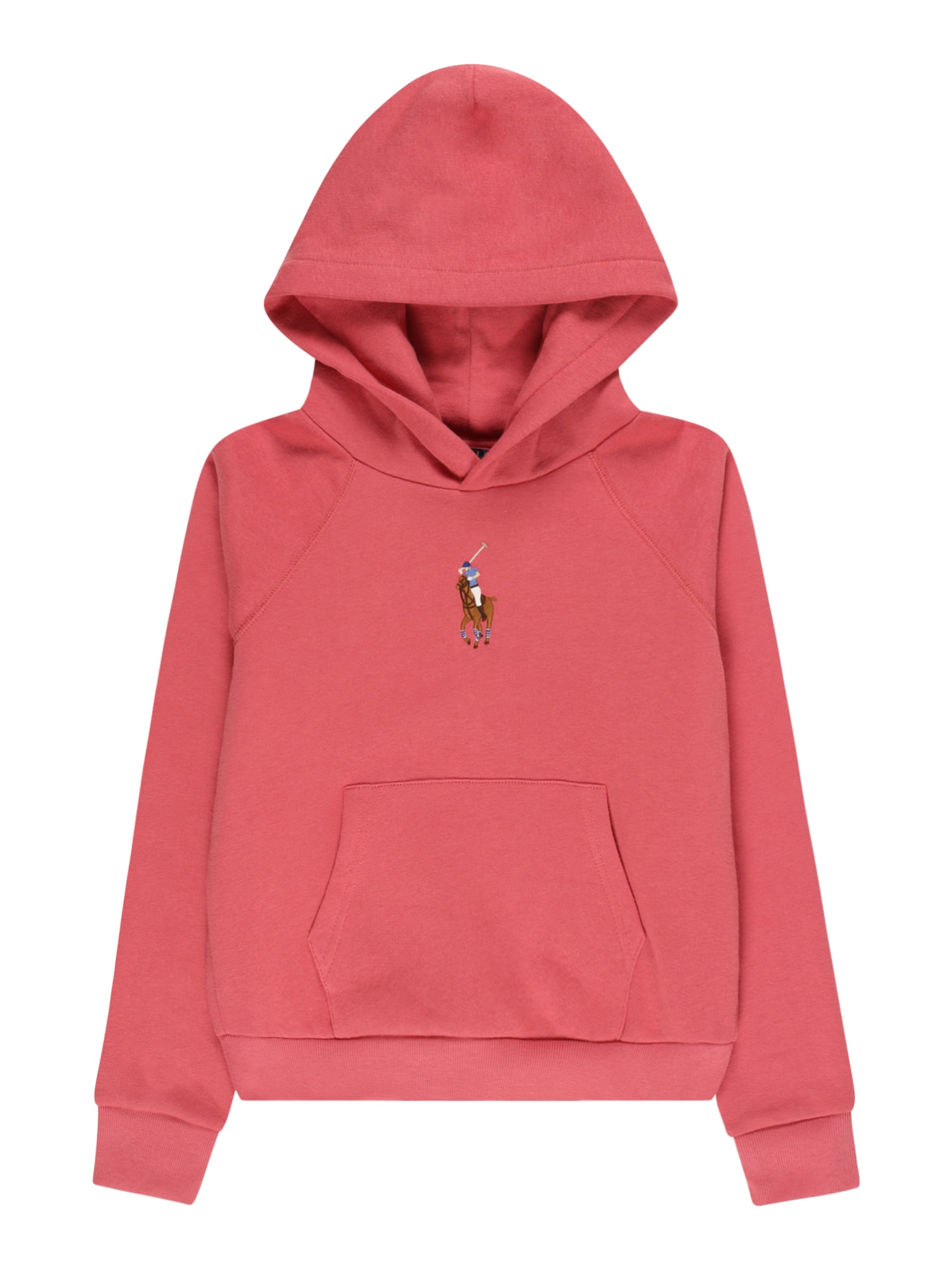 Polo Ralph Lauren Majica  svetlo modra / rjava / pitaja / bela