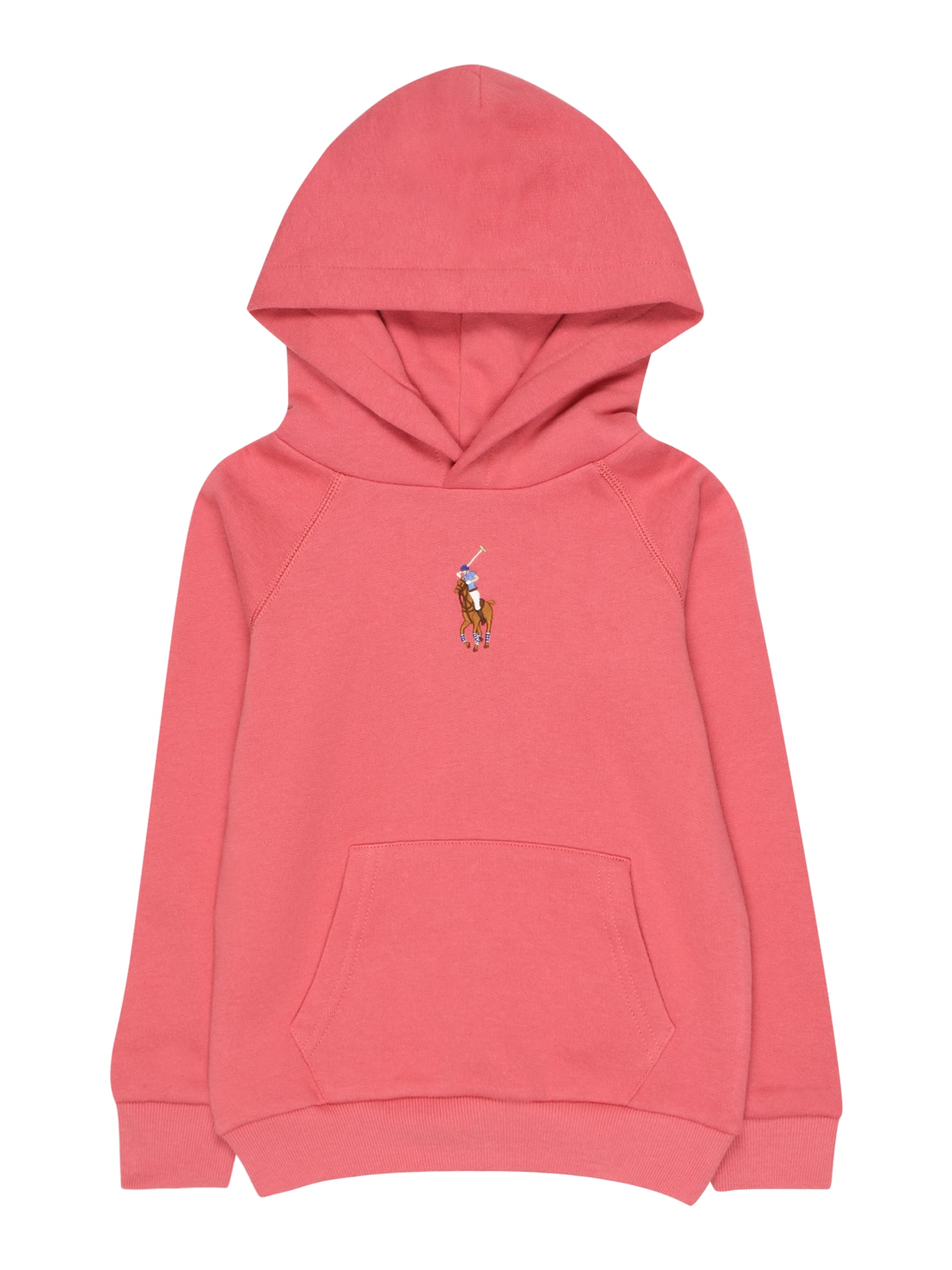 Polo Ralph Lauren Majica  svetlo modra / rjava / svetlo rdeča / bela