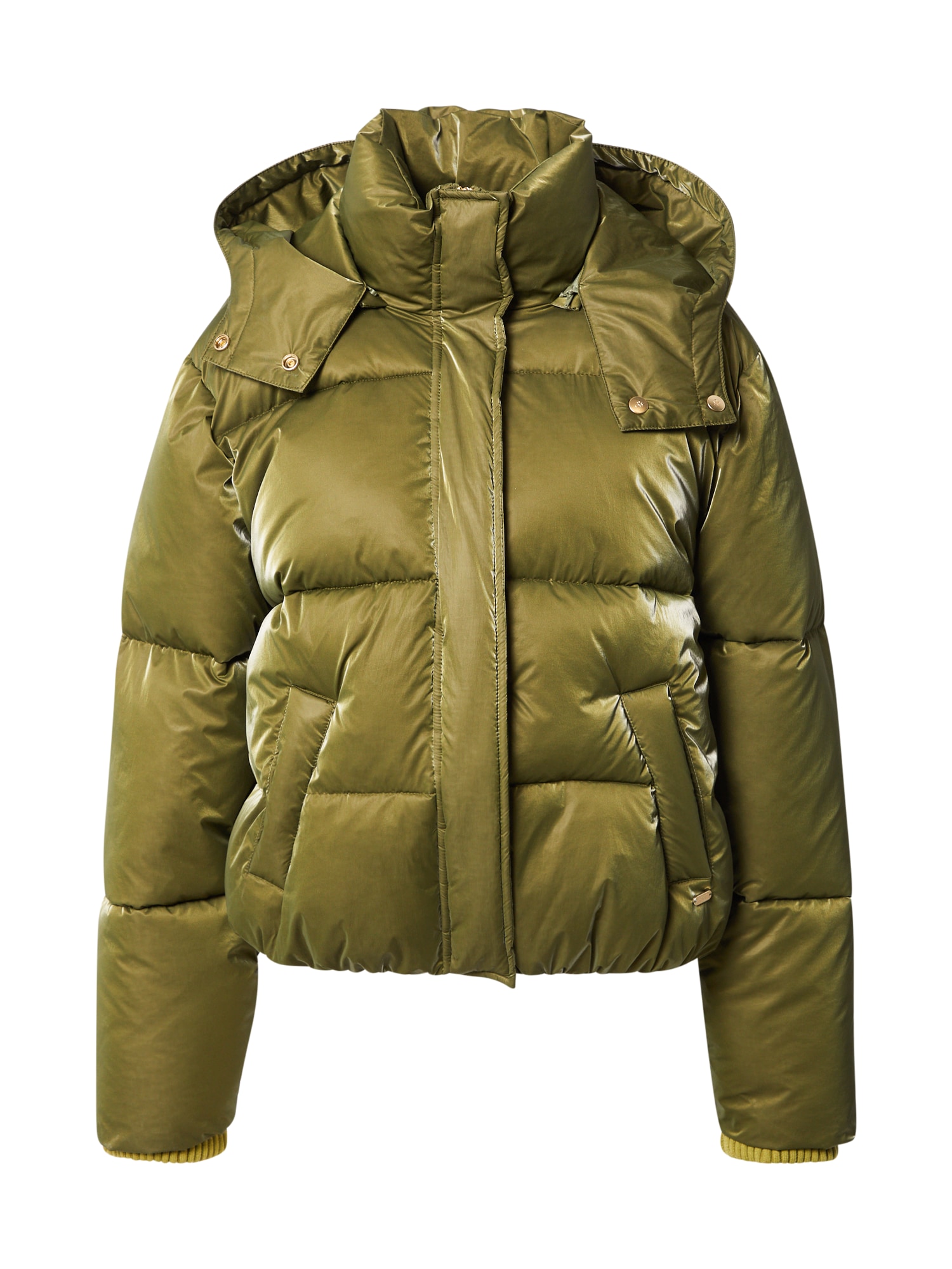 SCOTCH & SODA Zimska jakna  oliva / trst