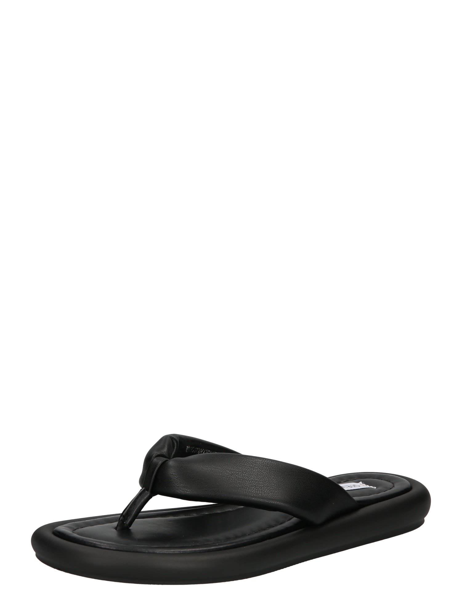 STEVE MADDEN Japonke 'Gramercy'  črna