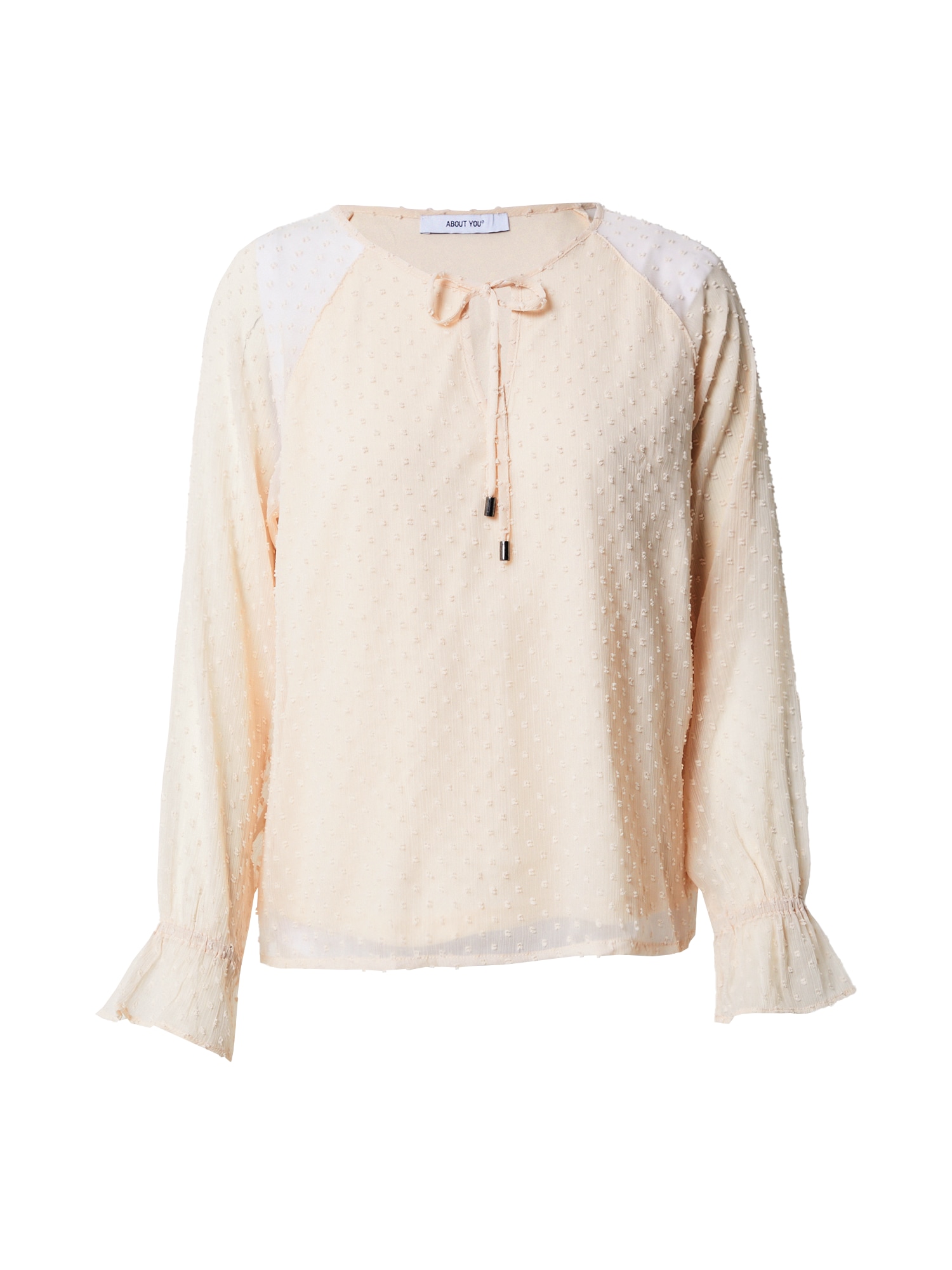 ABOUT YOU Bluza 'Dana'  pastelno roza
