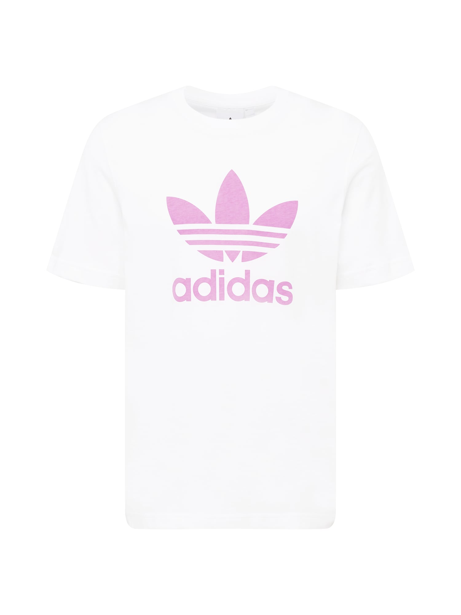 ADIDAS ORIGINALS Majica  temno liila / bela
