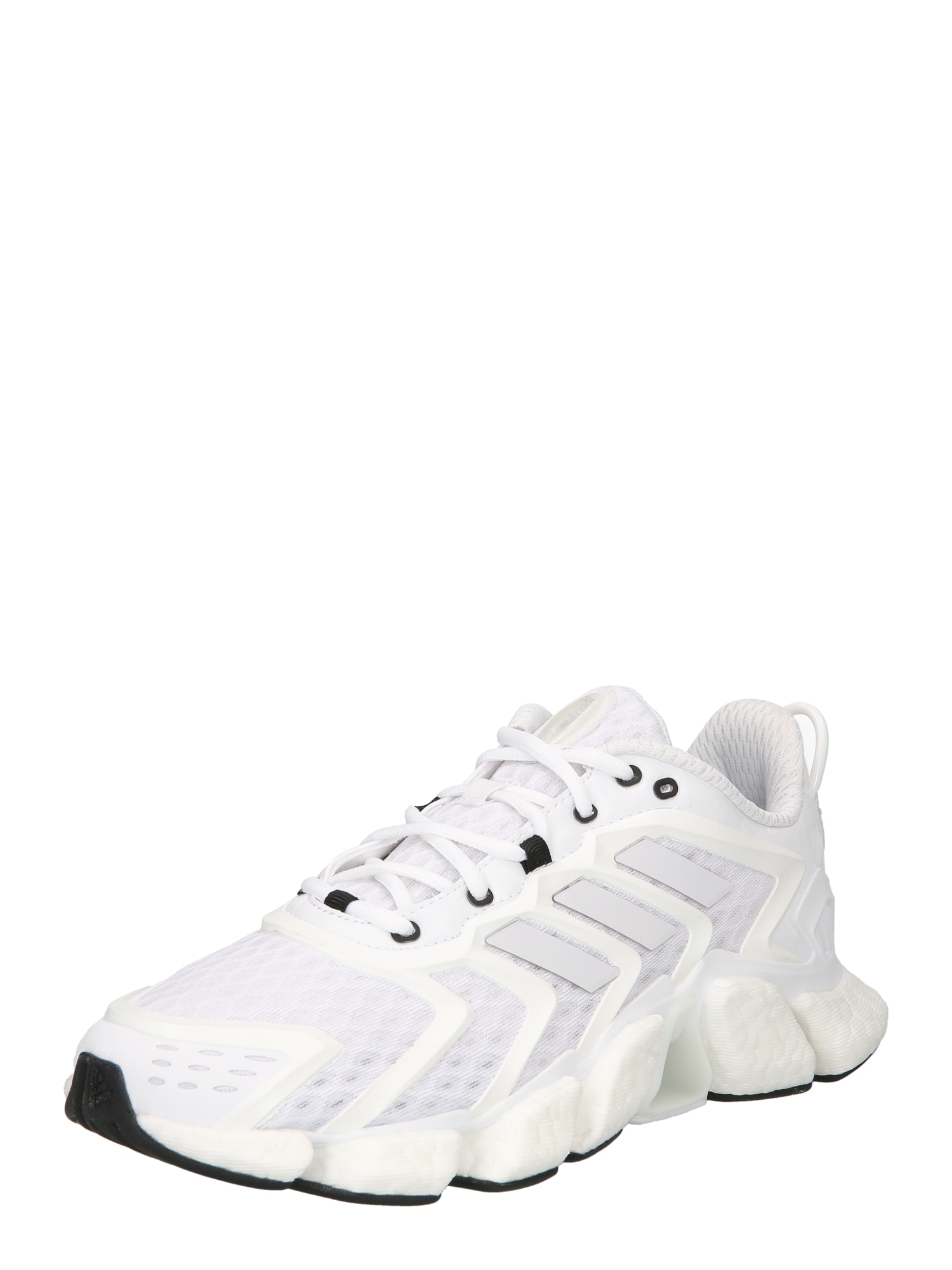 ADIDAS SPORTSWEAR Nizke superge  siva / bela