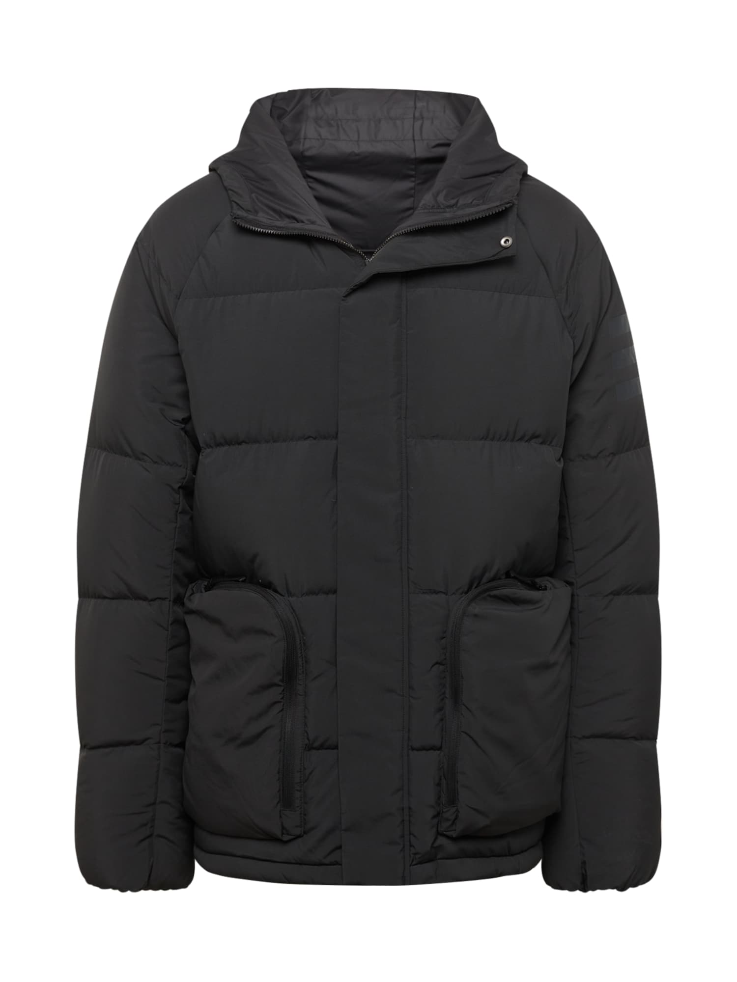 ADIDAS TERREX Zunanja jakna  črna