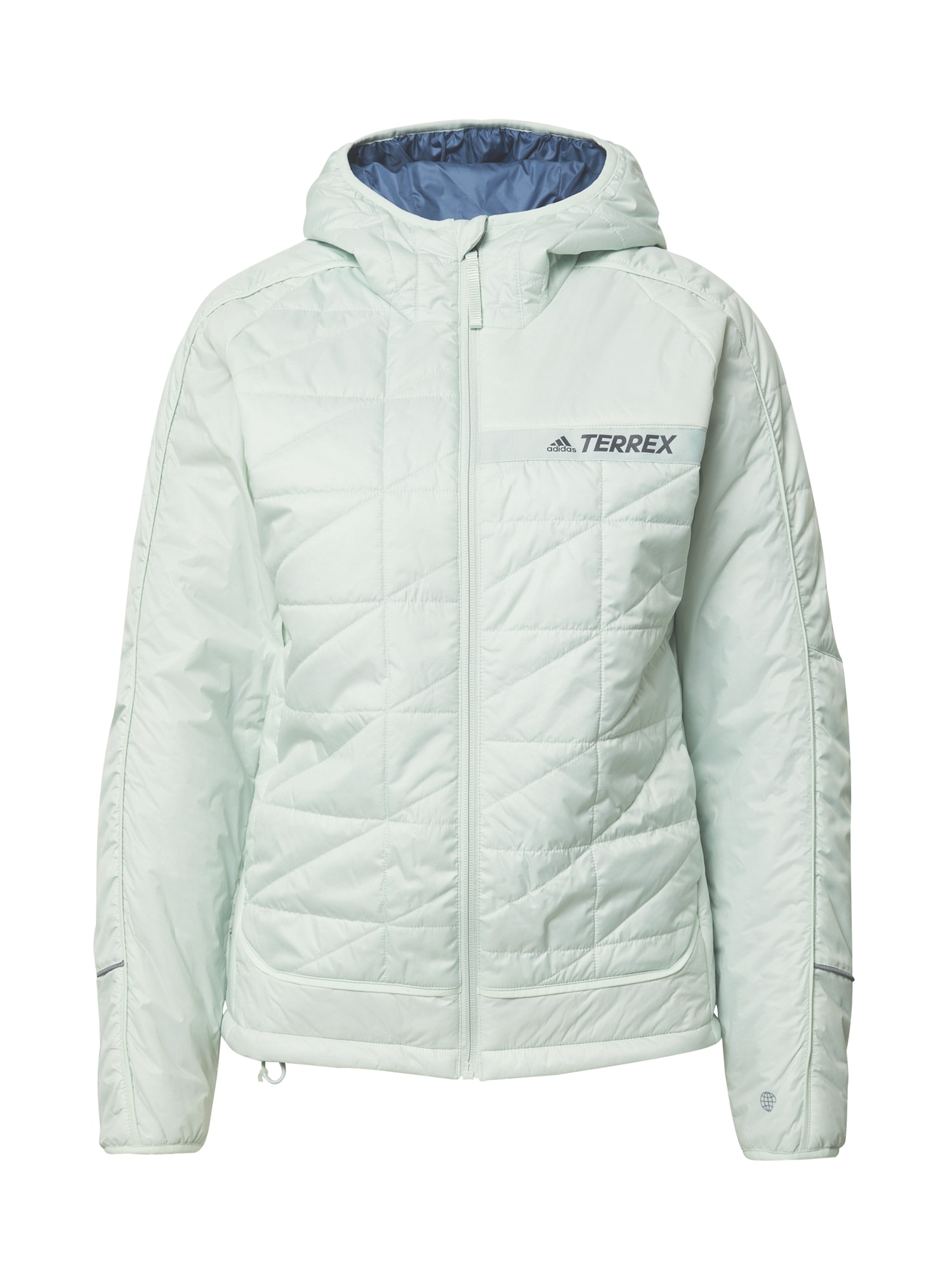 ADIDAS TERREX Zunanja jakna  pastelno zelena / črna