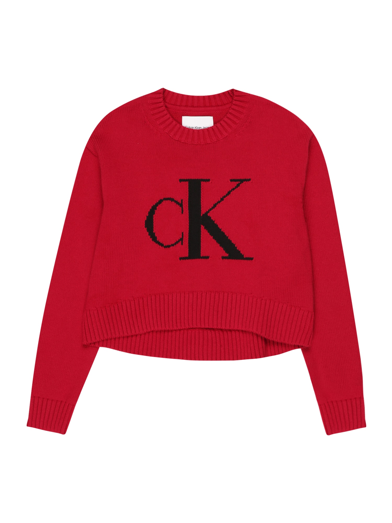Calvin Klein Jeans Pulover  rdeča / črna