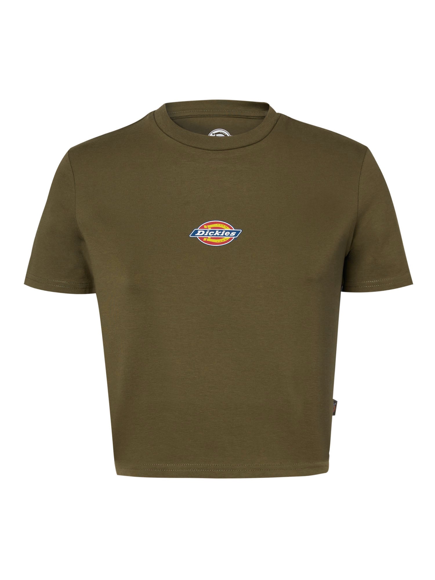 DICKIES Majica 'MAPLE VALLEY'  temno zelena