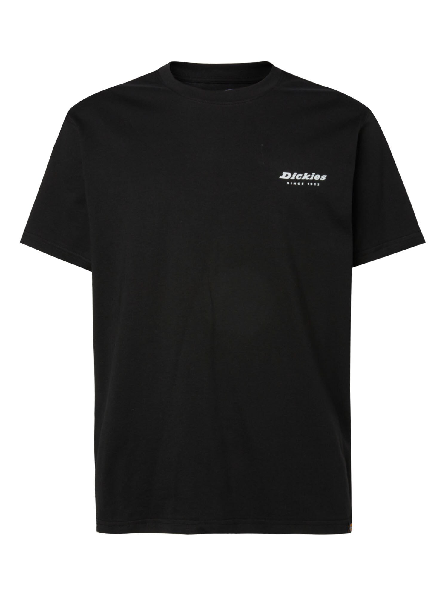 DICKIES Majica  mešane barve / črna