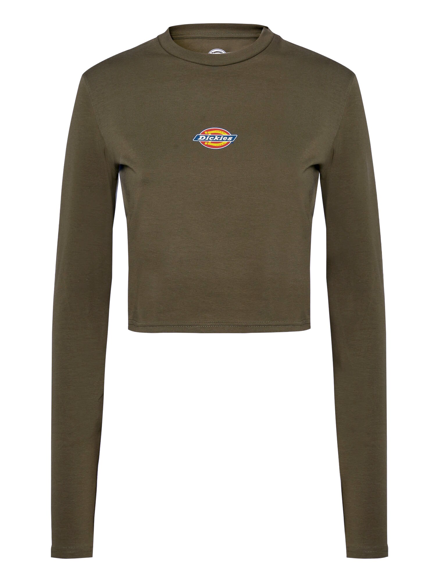 DICKIES Majica  temno zelena / mešane barve