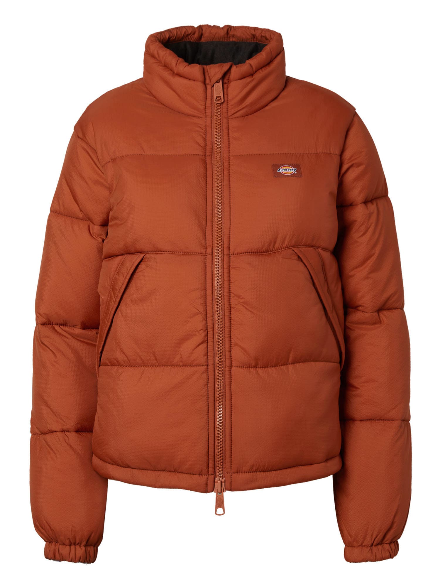 DICKIES Zimska jakna 'ALATNA'  rjasto rjava