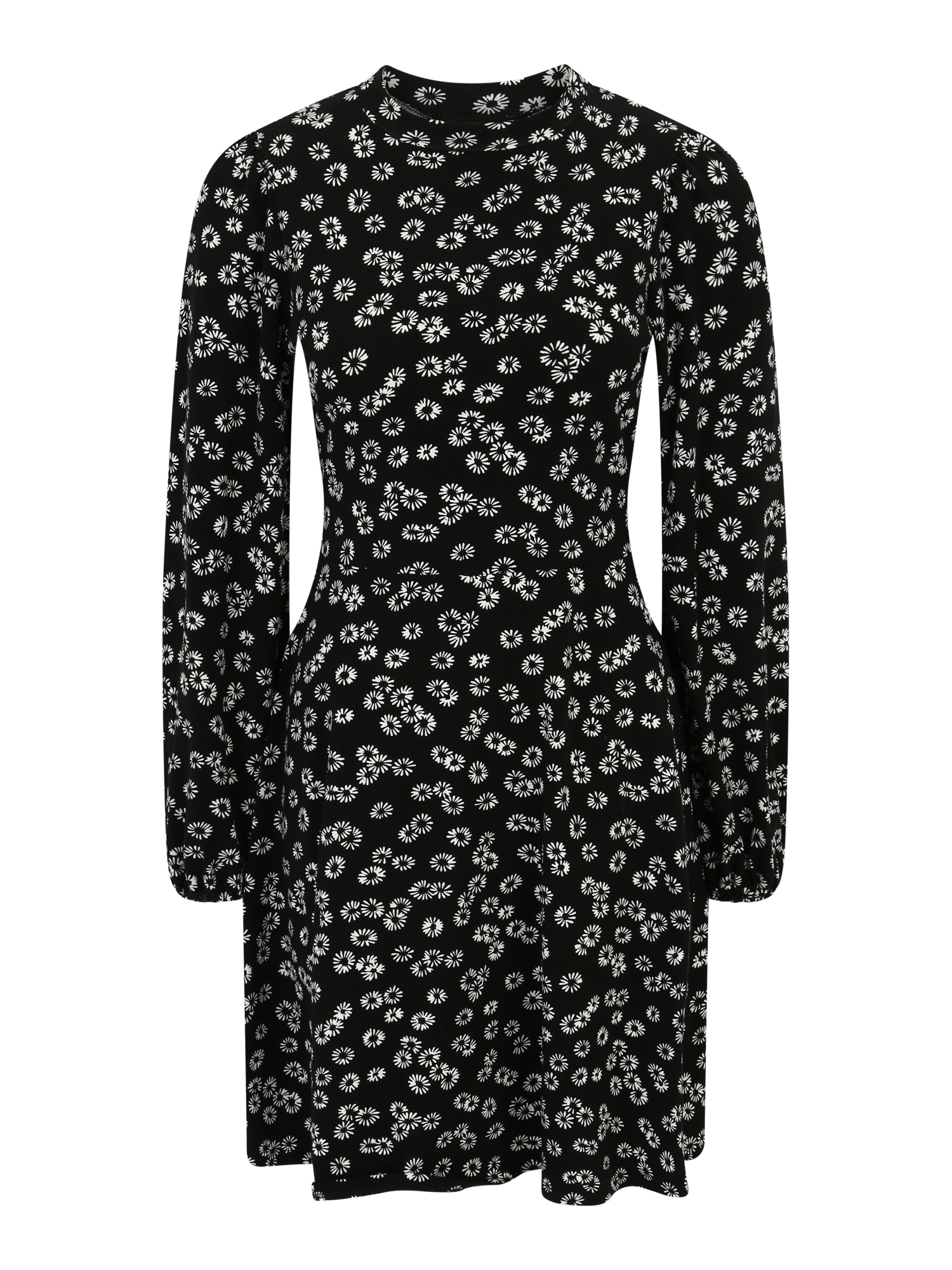 Dorothy Perkins Obleka  črna / bela