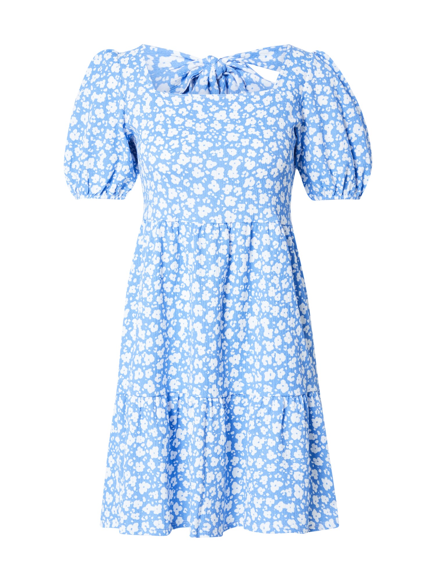 Dorothy Perkins Poletna obleka  svetlo modra / bela