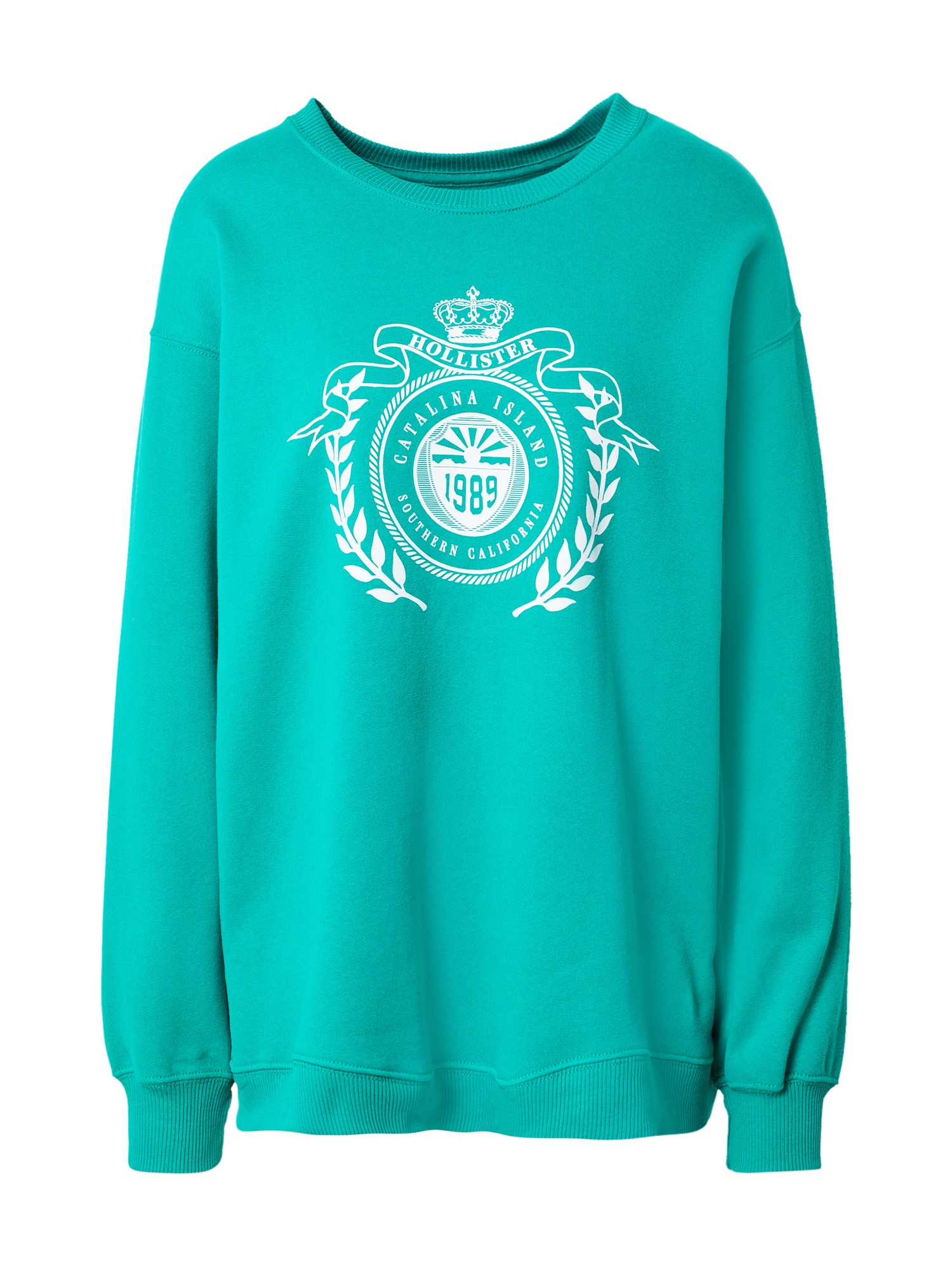 HOLLISTER Majica  pastelno modra / bela