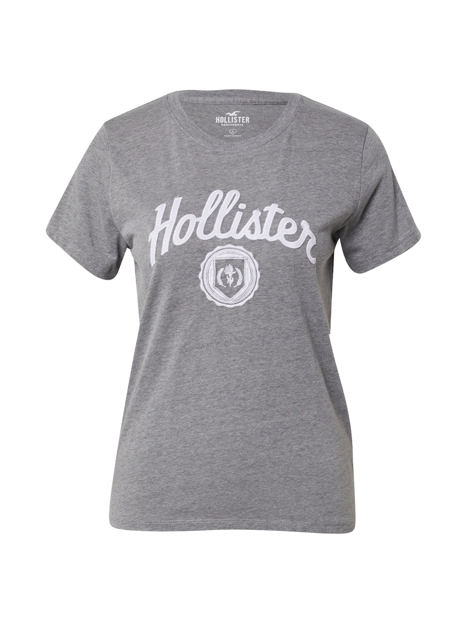 HOLLISTER Majica  siva / bela
