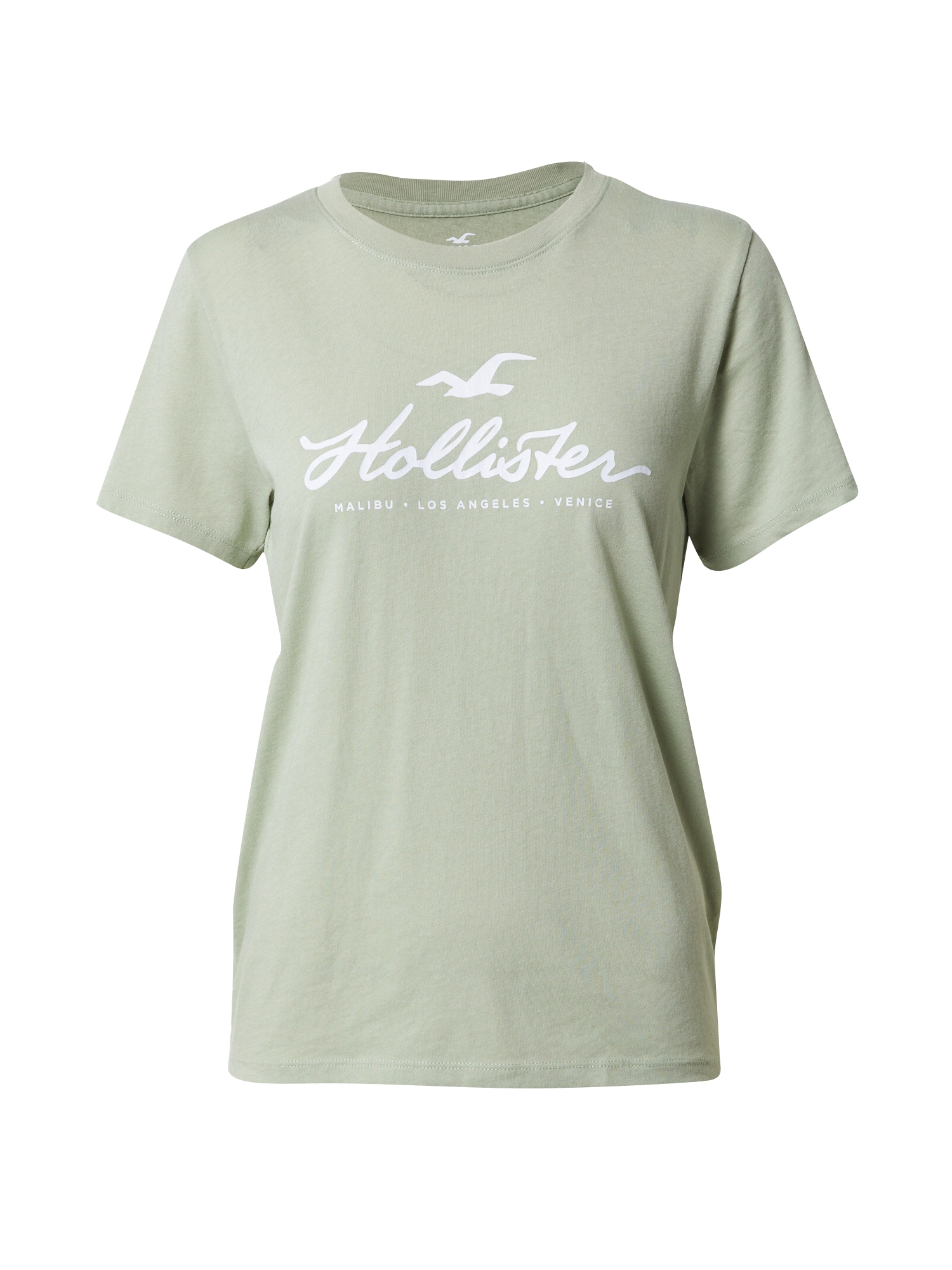 HOLLISTER Majica  svetlo zelena / bela