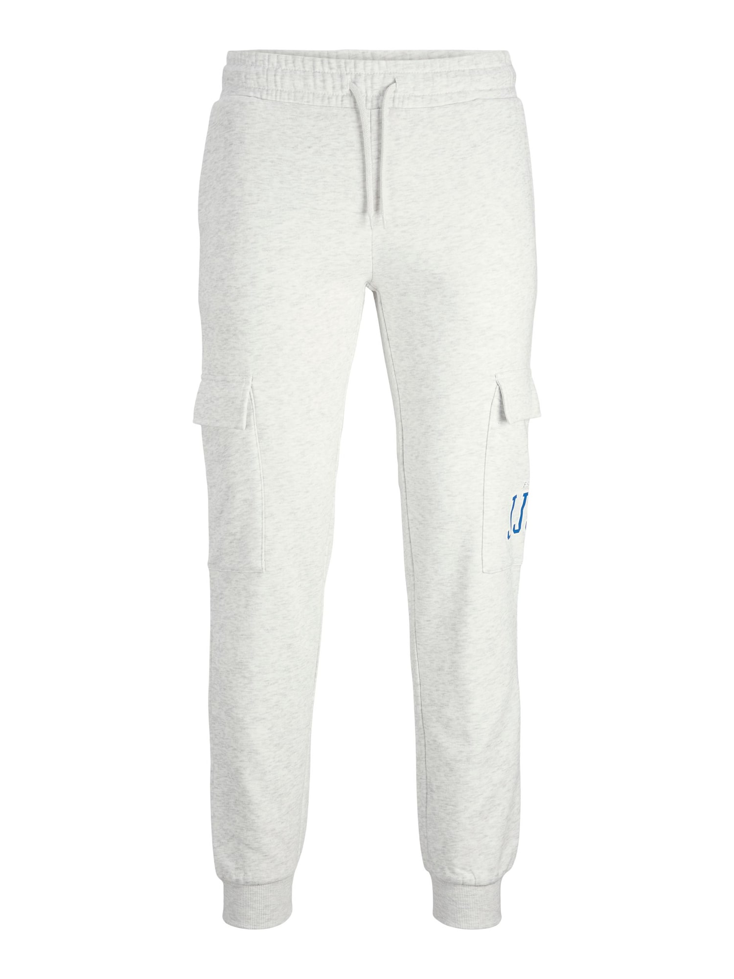 JACK & JONES Kargo hlače 'Gordon'  modra / pegasto bela