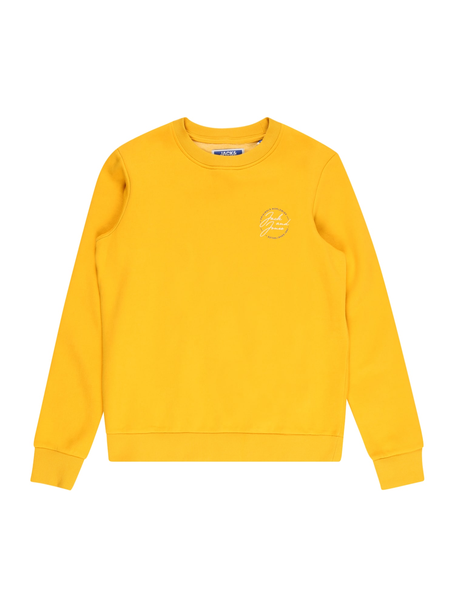 Jack & Jones Junior Majica 'Jerry'  svetlo modra / kari / bela