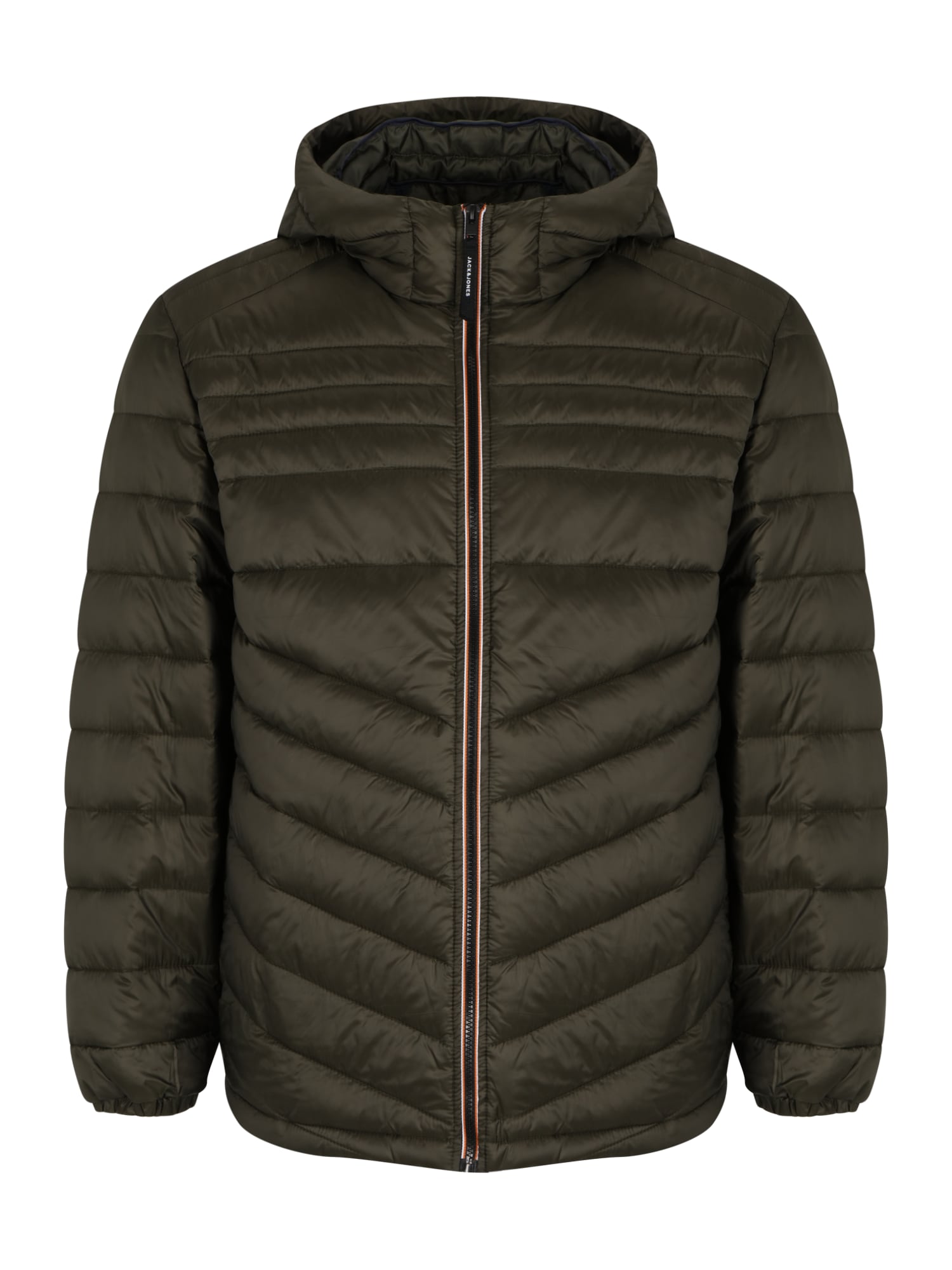 Jack & Jones Plus Prehodna jakna  zelena