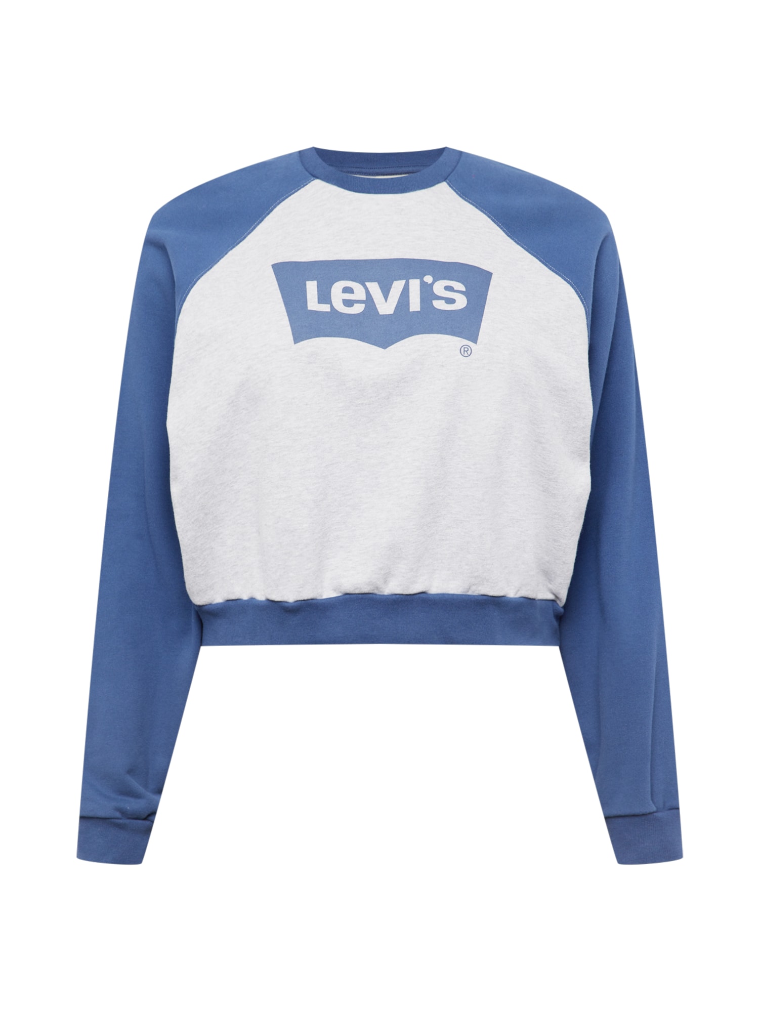 Levi's® Plus Majica  modra / pegasto siva
