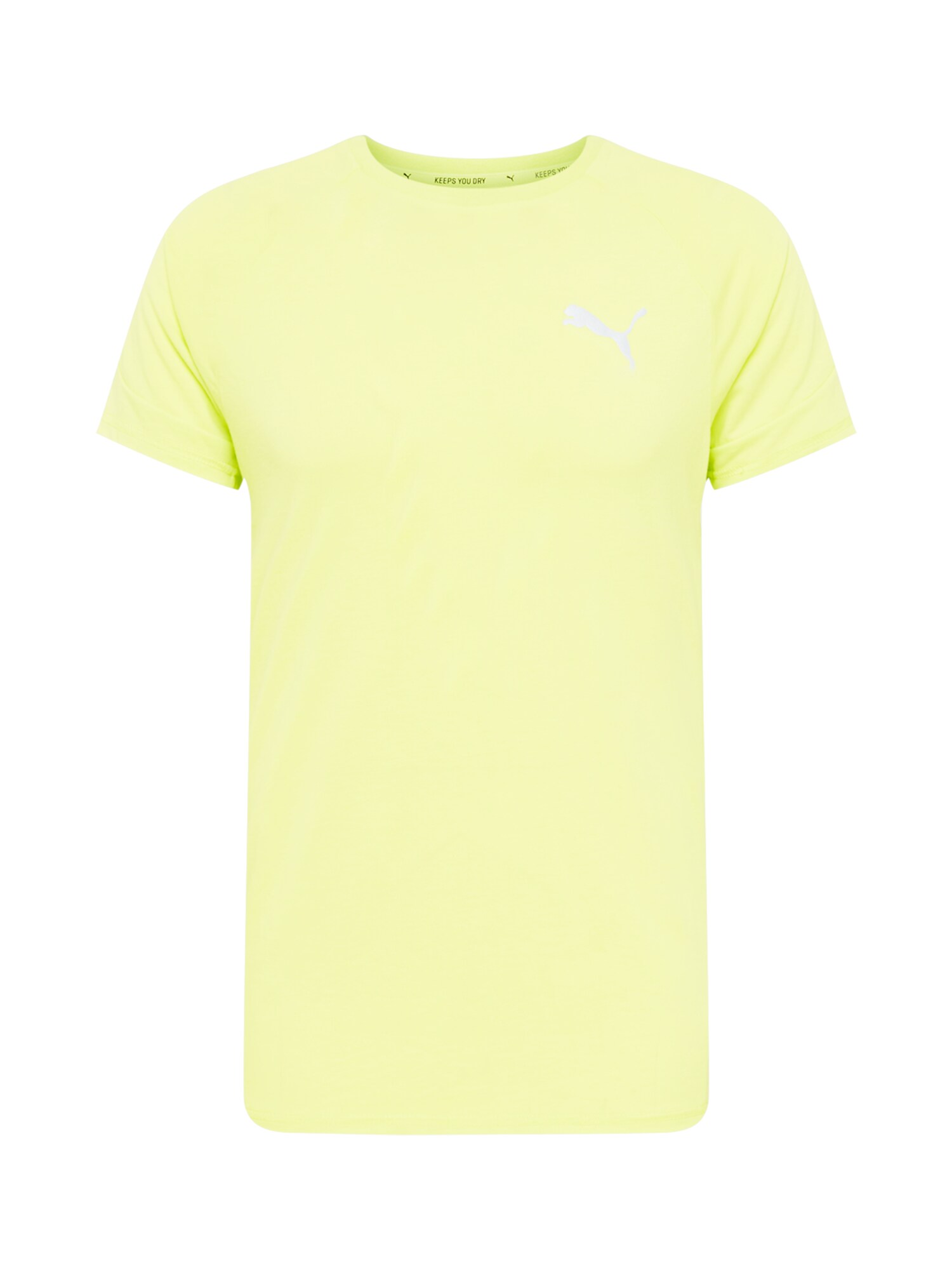 PUMA Funkcionalna majica 'Evostripe'  limeta / srebrna