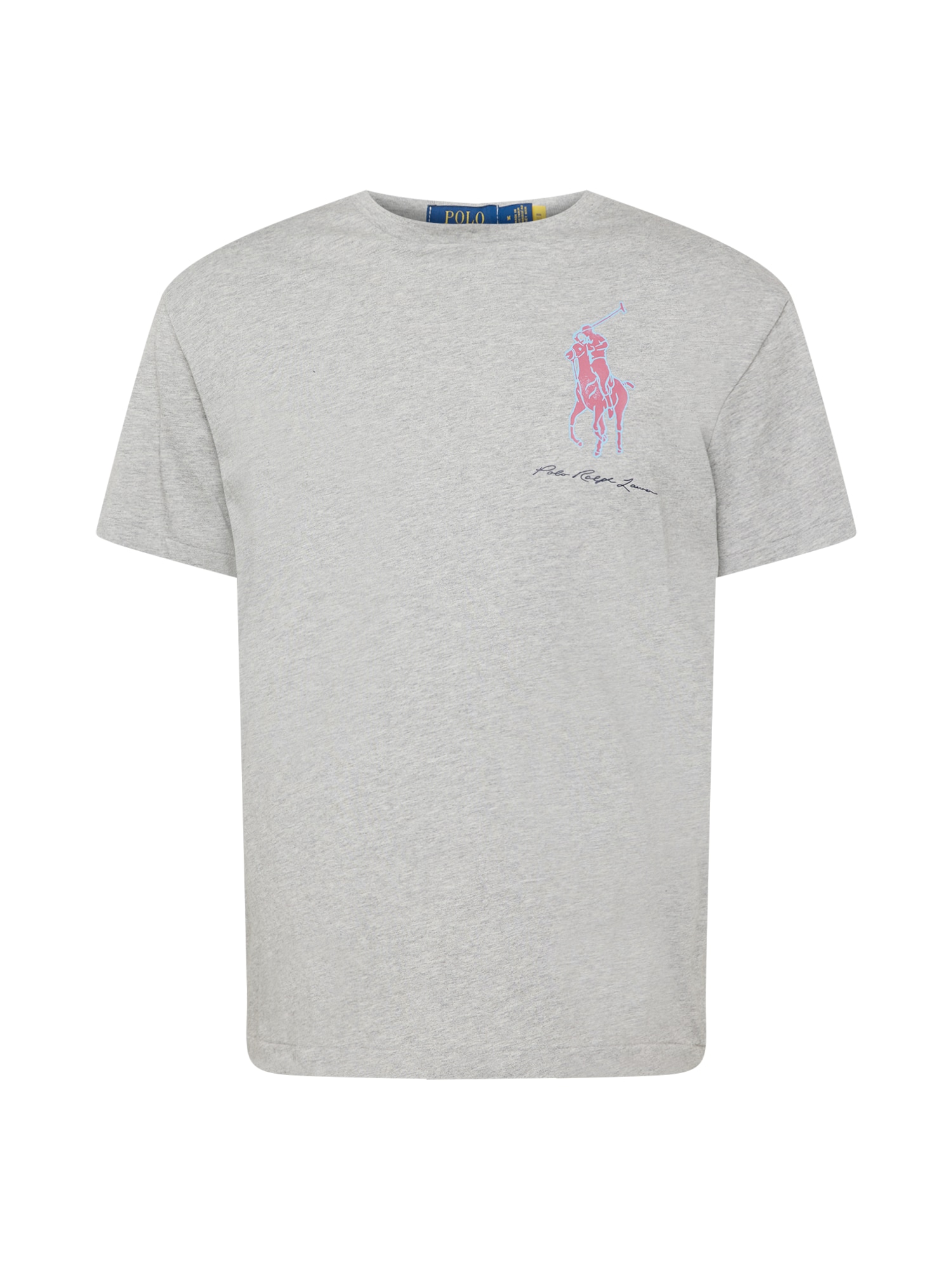 Polo Ralph Lauren Majica  svetlo modra / siva / rdeča