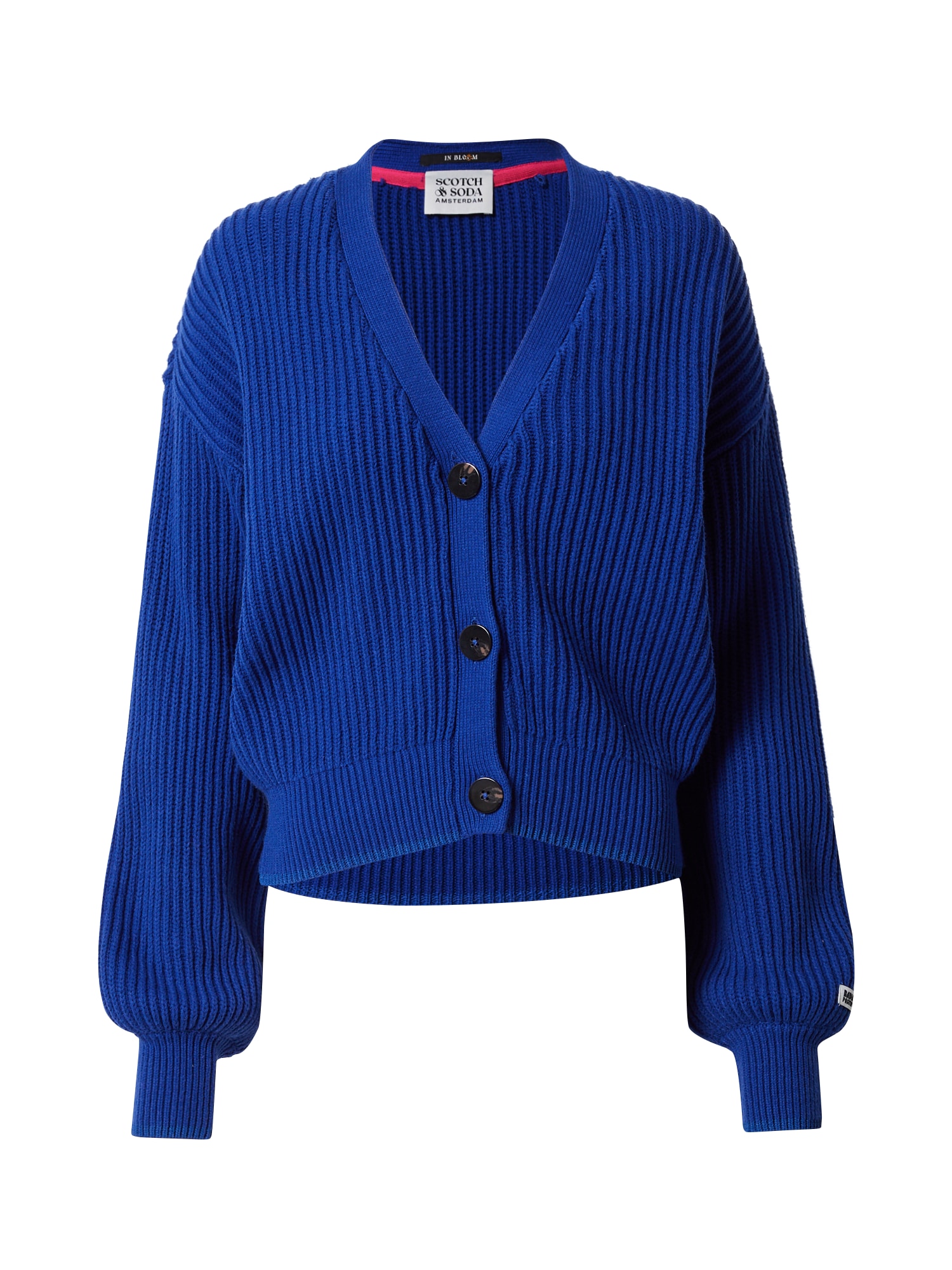 SCOTCH & SODA Pletena jopa  kobalt modra / bela