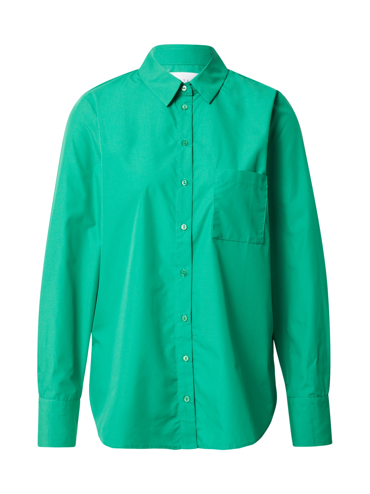 SISTERS POINT Bluza 'VIARRA'  travnato zelena