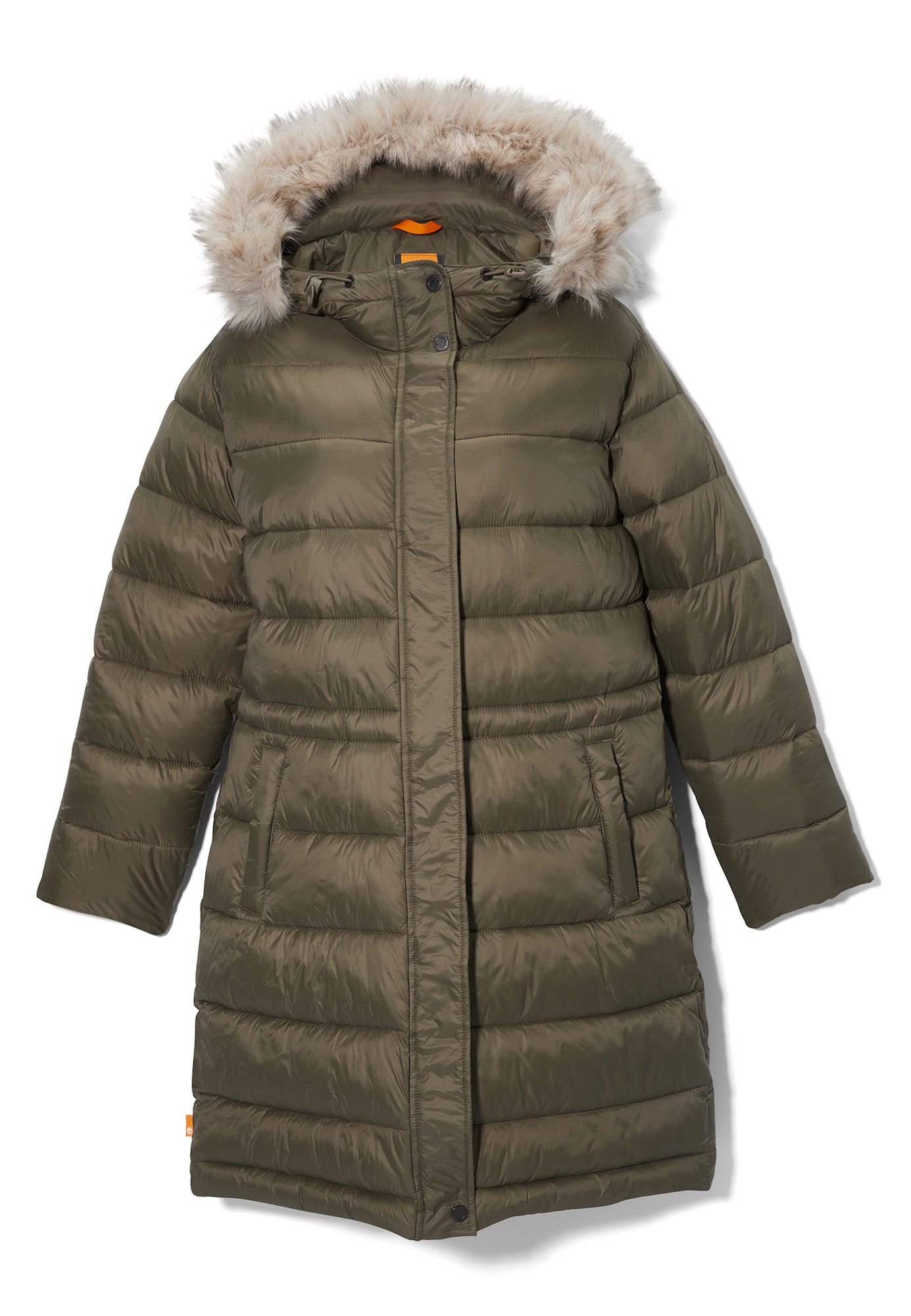 TIMBERLAND Zimski plašč  bež / zelena