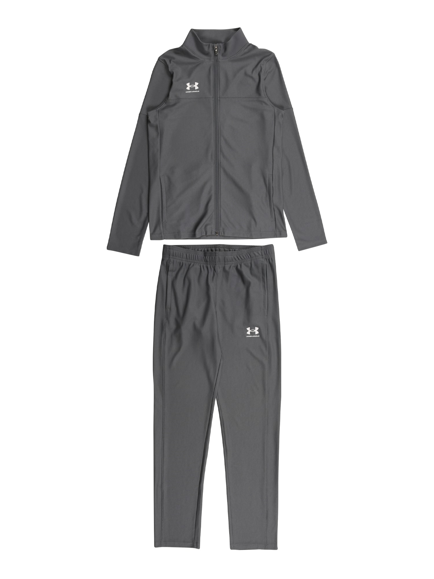 UNDER ARMOUR Športna trenirka  siva