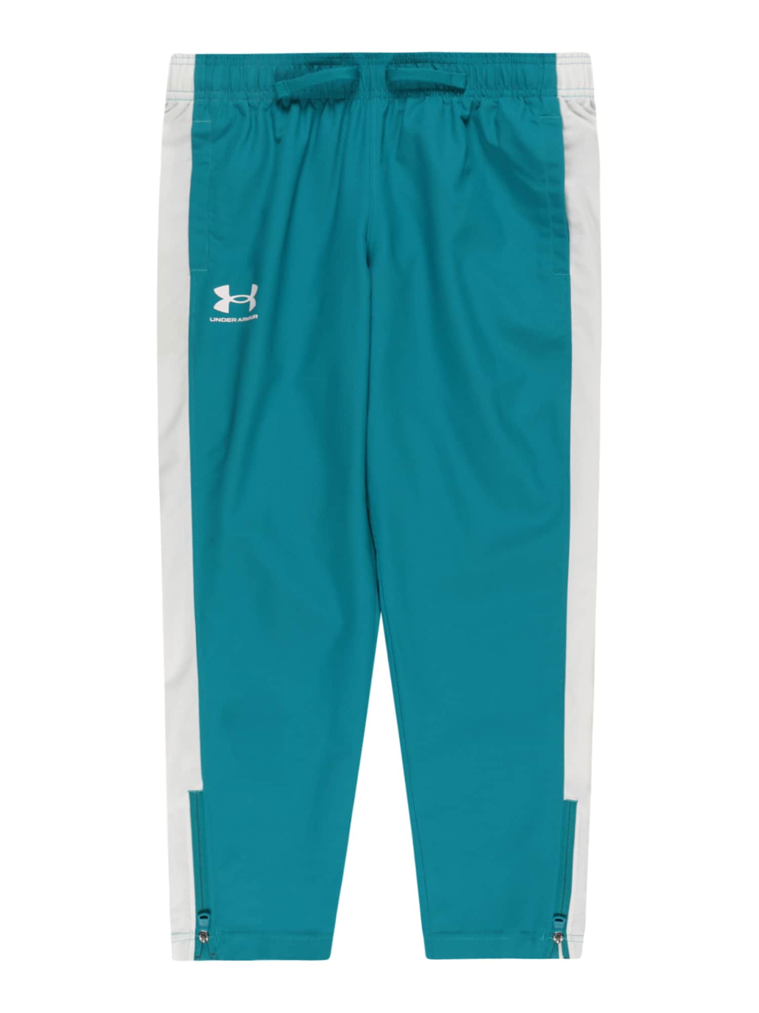 UNDER ARMOUR Športne hlače  modra / svetlo siva