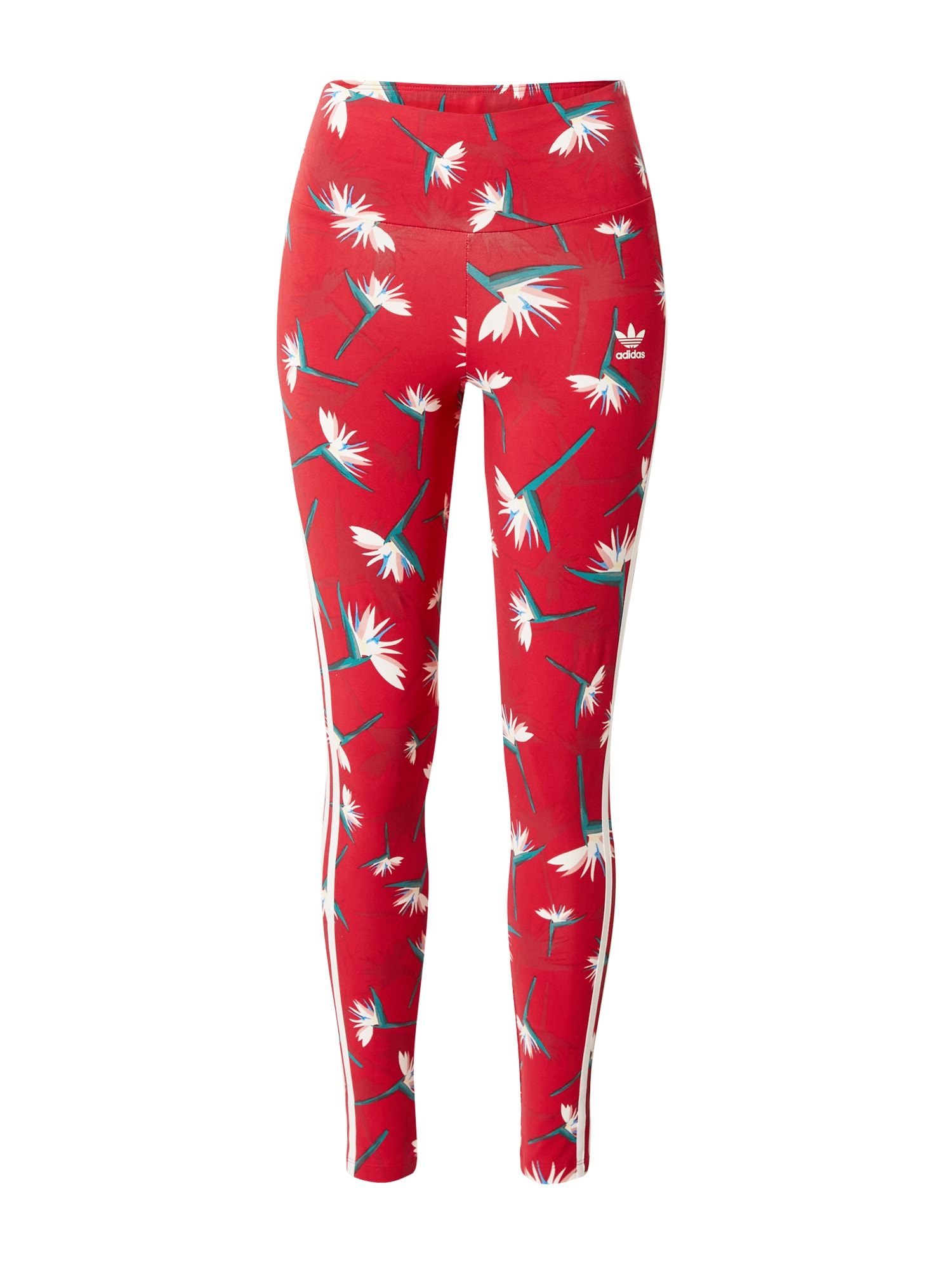 ADIDAS ORIGINALS Hlače  zelena / rdeča / bela