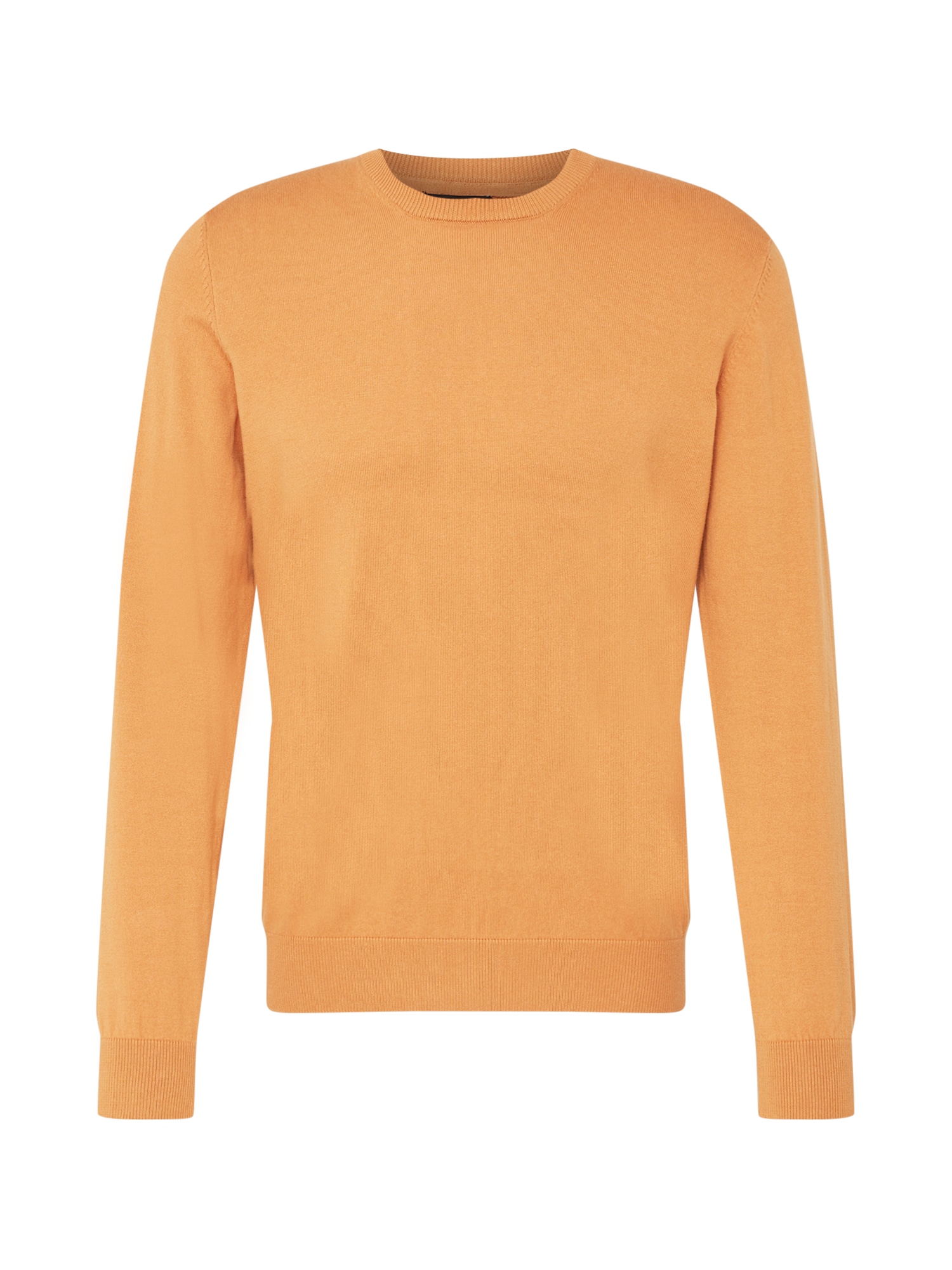 BURTON MENSWEAR LONDON Pulover  kamela