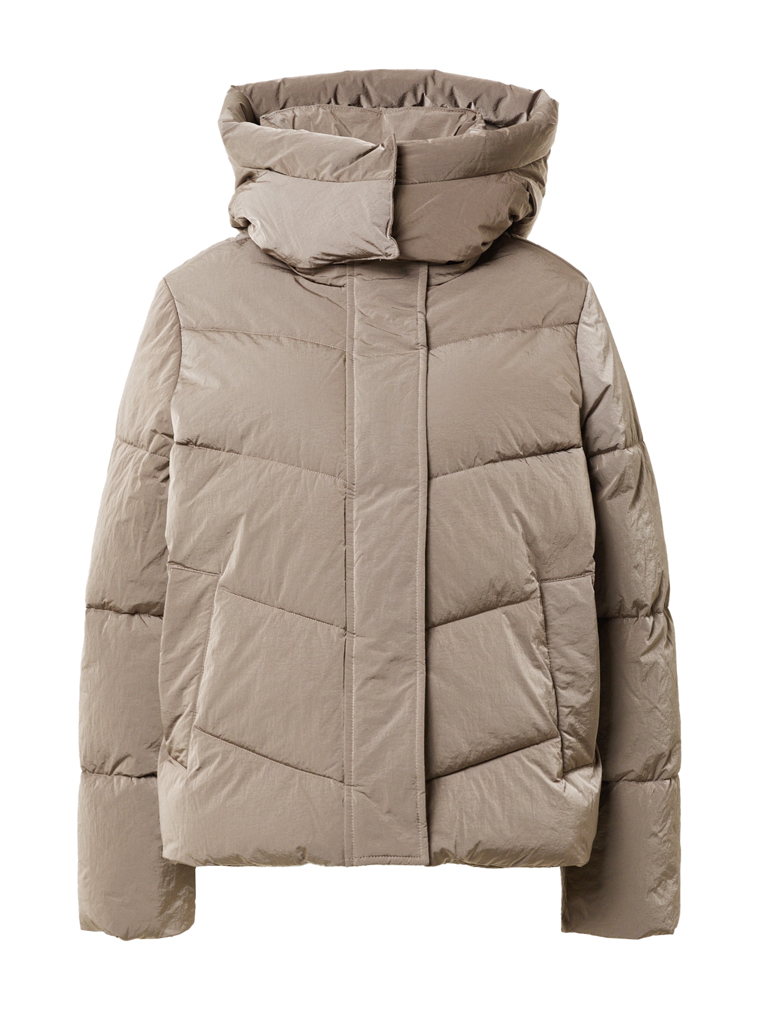 Calvin Klein Zimska jakna  svetlo rjava