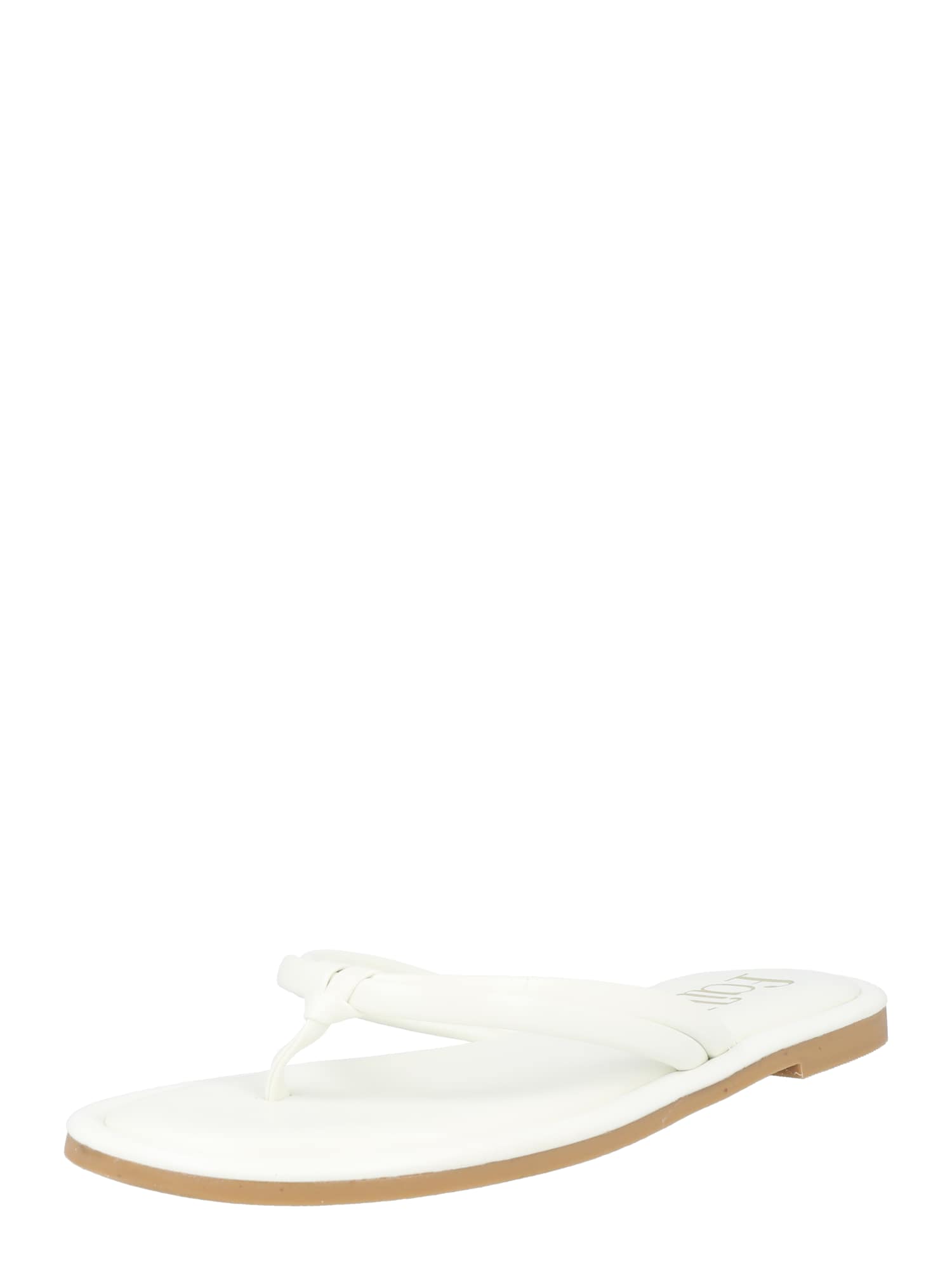 Dorothy Perkins Japonke 'Finn'  bela