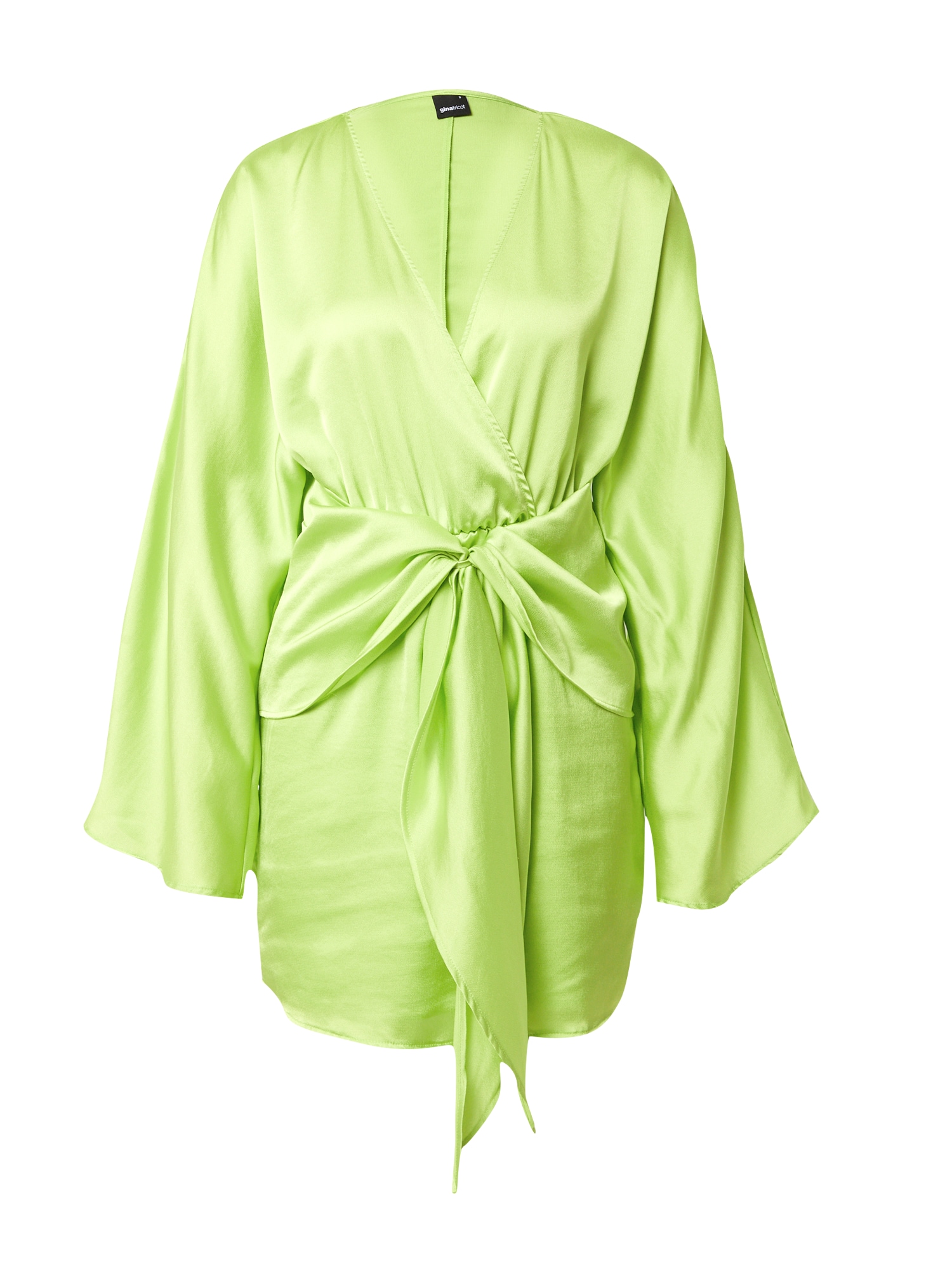 Gina Tricot Obleka 'Rosie'  jabolko