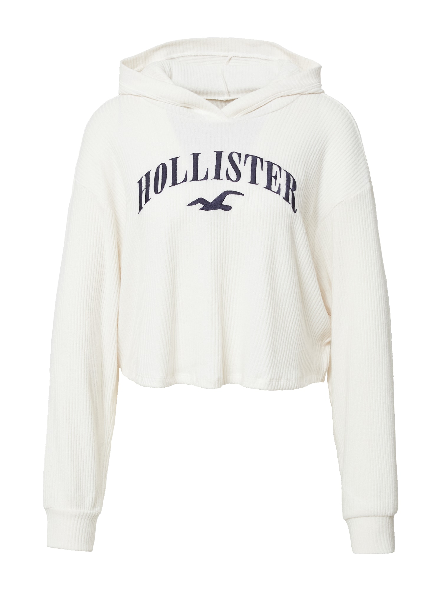 HOLLISTER Majica  marine / jajčna lupina