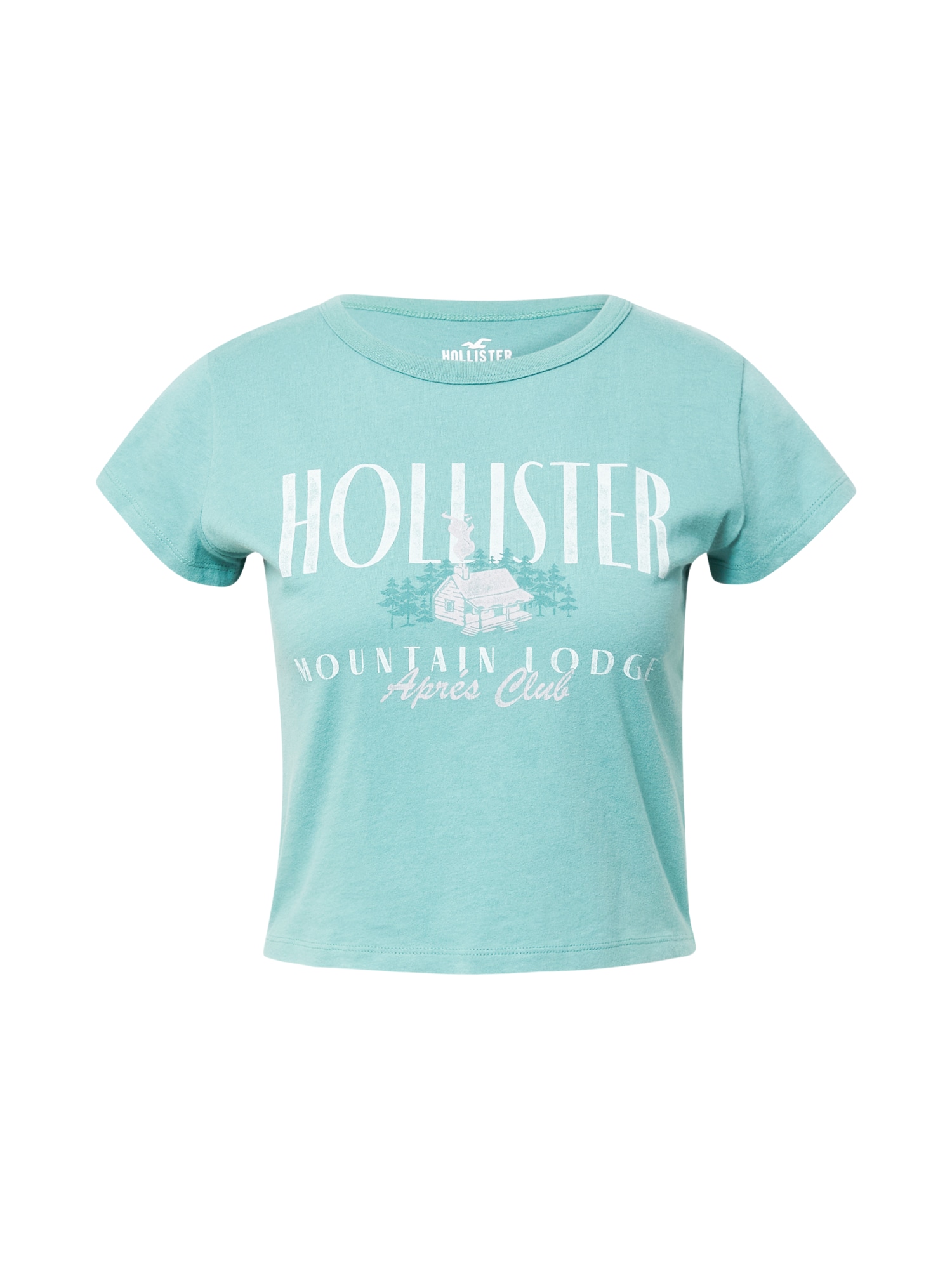 HOLLISTER Majica  meta / bela
