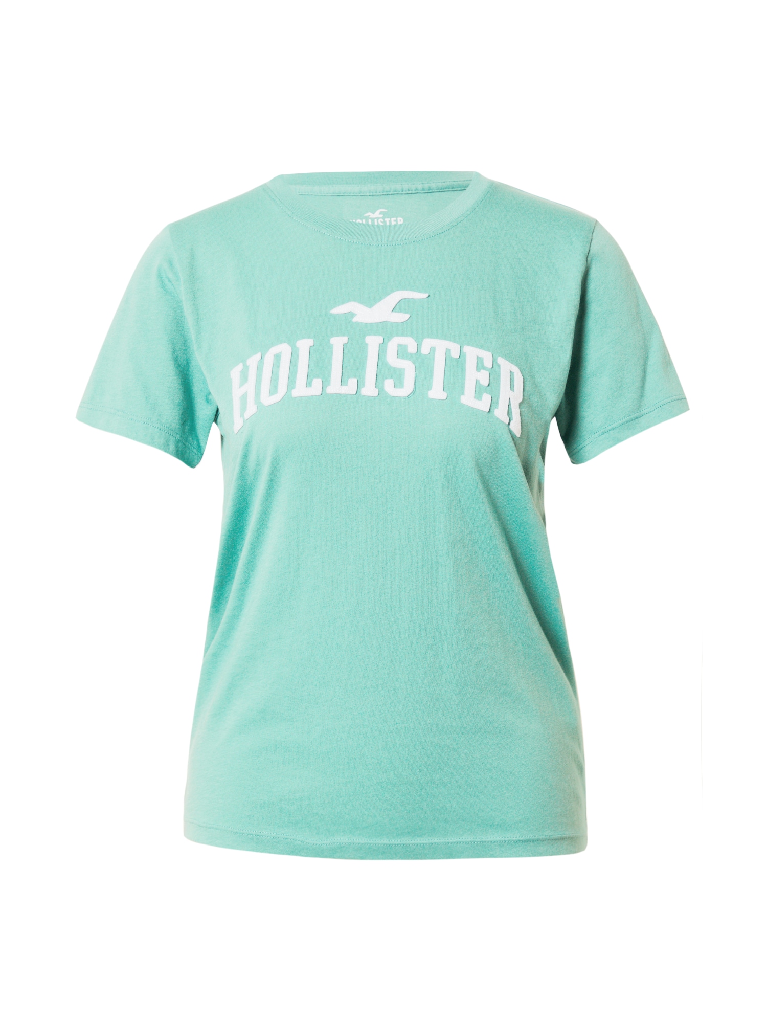 HOLLISTER Majica  meta / bela