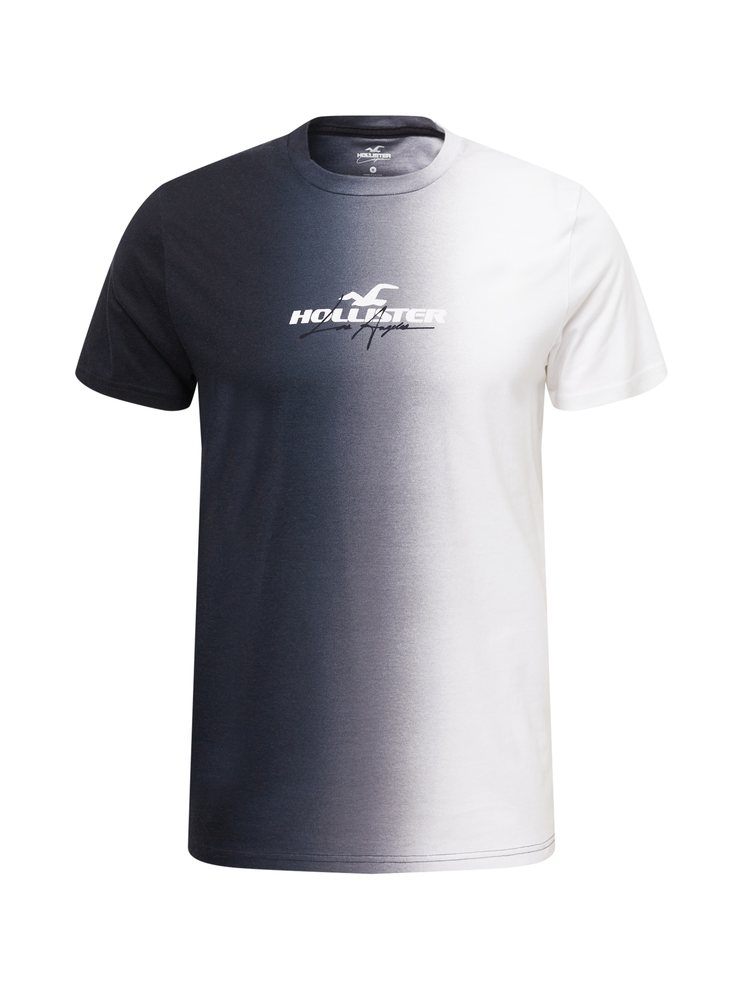 HOLLISTER Majica  siva / temno siva / črna / bela