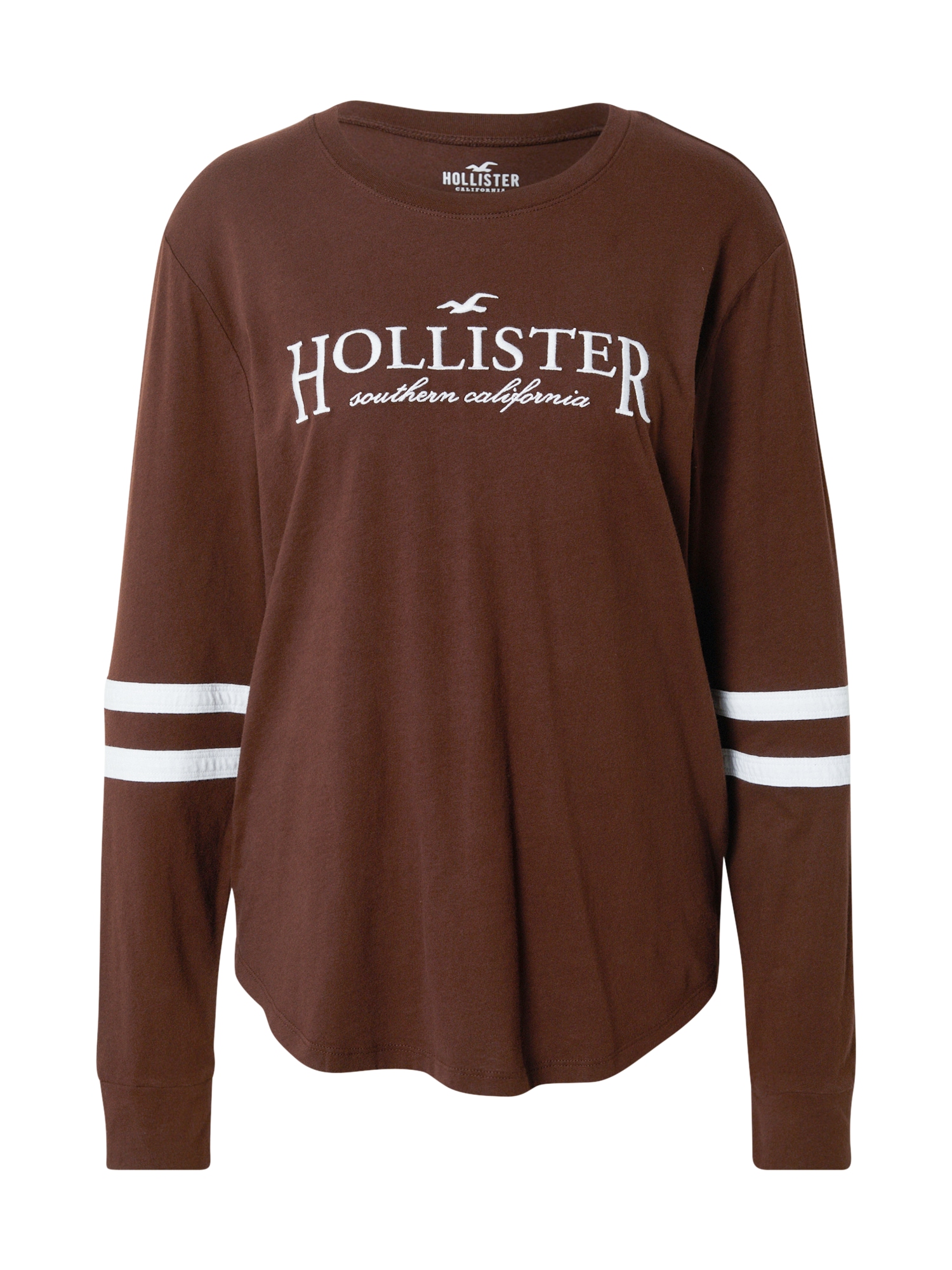 HOLLISTER Majica  temno rjava / bela