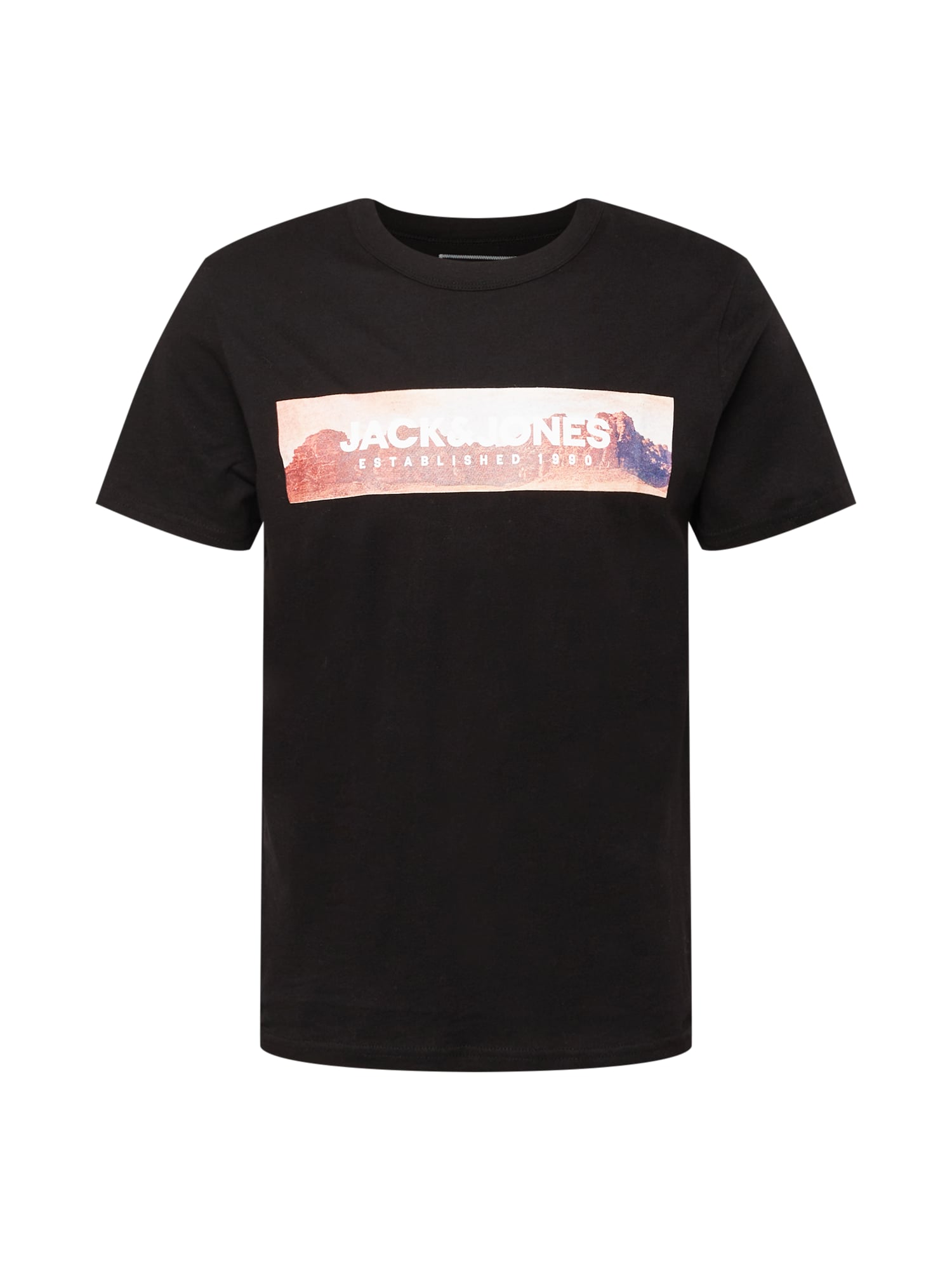 JACK & JONES Majica 'VALLEY'  rjasto rjava / rosé / črna / bela