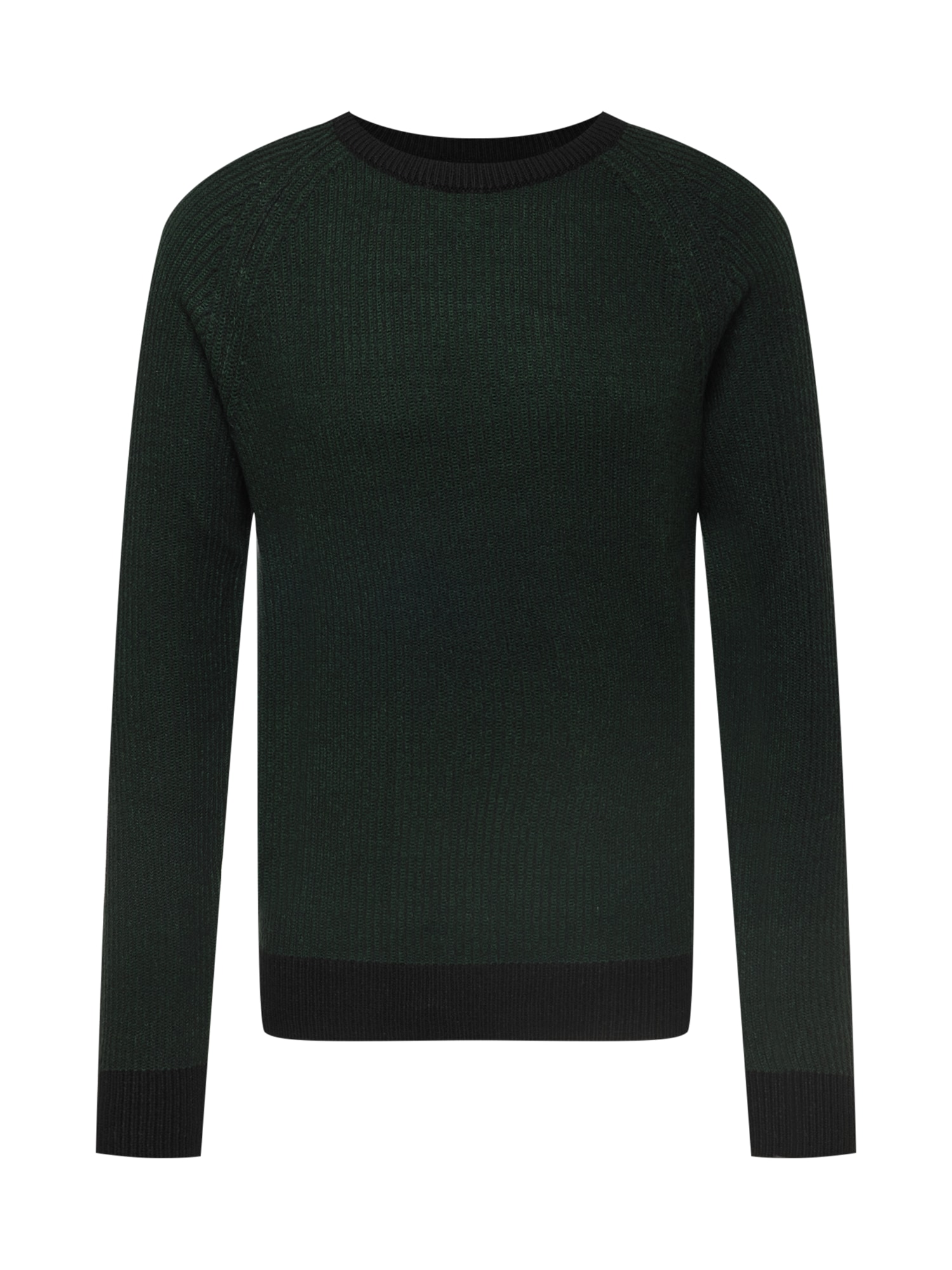 JACK & JONES Pulover  jelka / črna