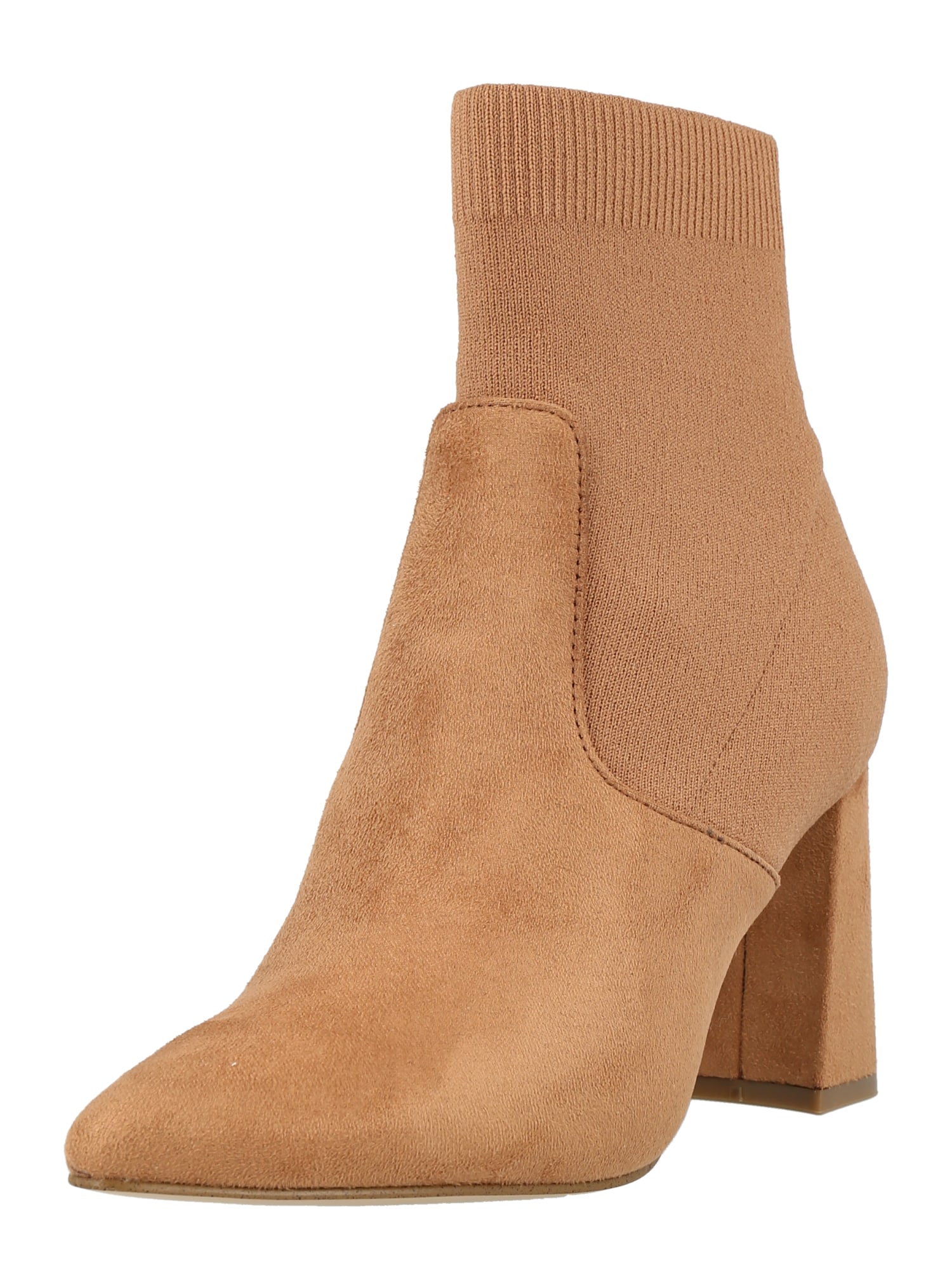 STEVE MADDEN Gležnarji 'PURIFY'  svetlo rjava