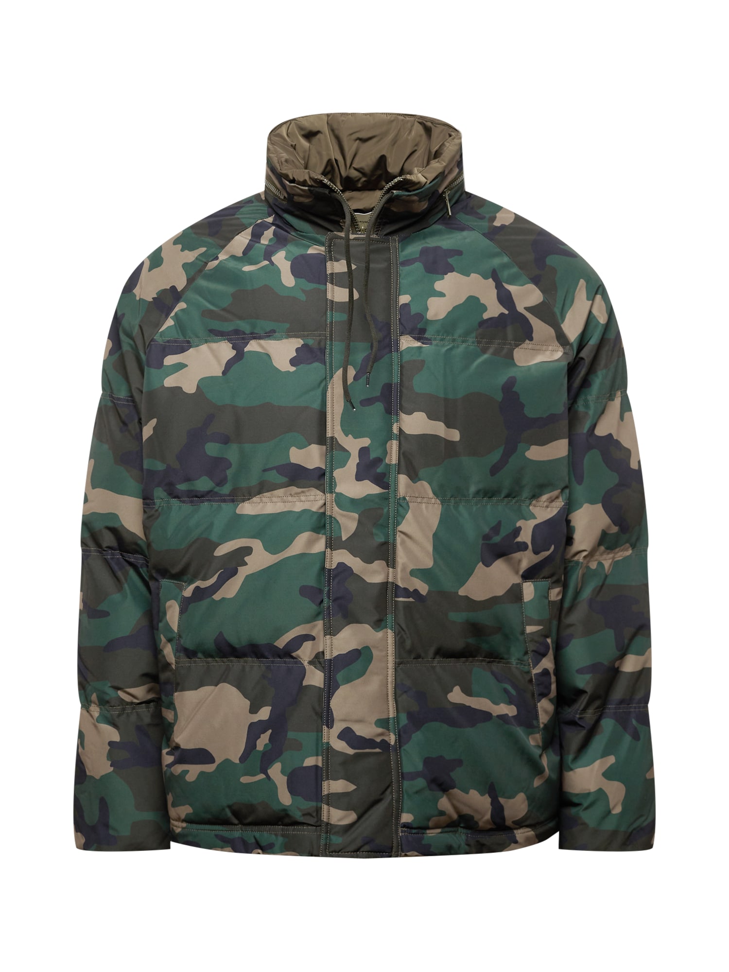Zadig & Voltaire Prehodna jakna 'BRISTOL'  temno rjava / temno siva / temno zelena